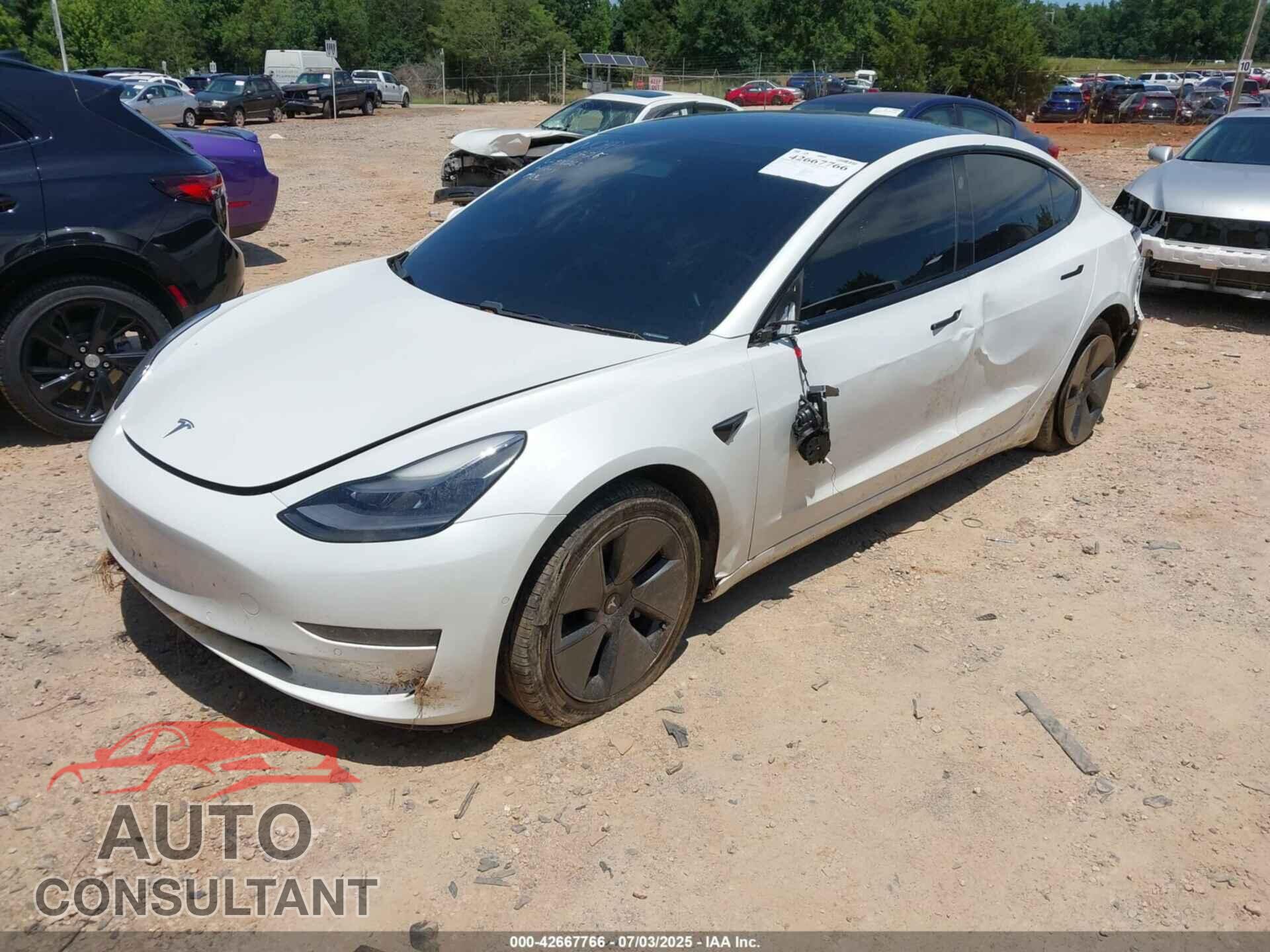 TESLA MODEL 3 2021 - 5YJ3E1EA4MF976263