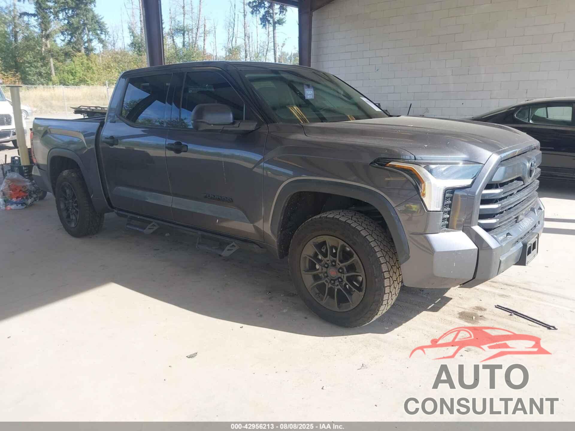TOYOTA TUNDRA 2023 - 5TFLA5DBXPX105861