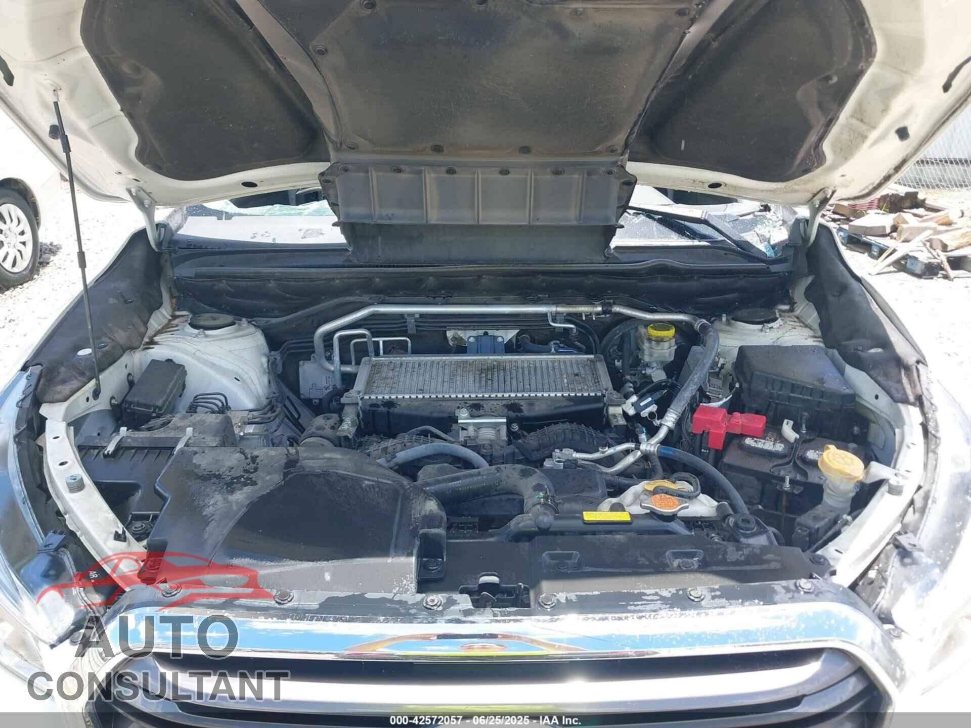 SUBARU ASCENT 2021 - 4S4WMAPD2M3462041