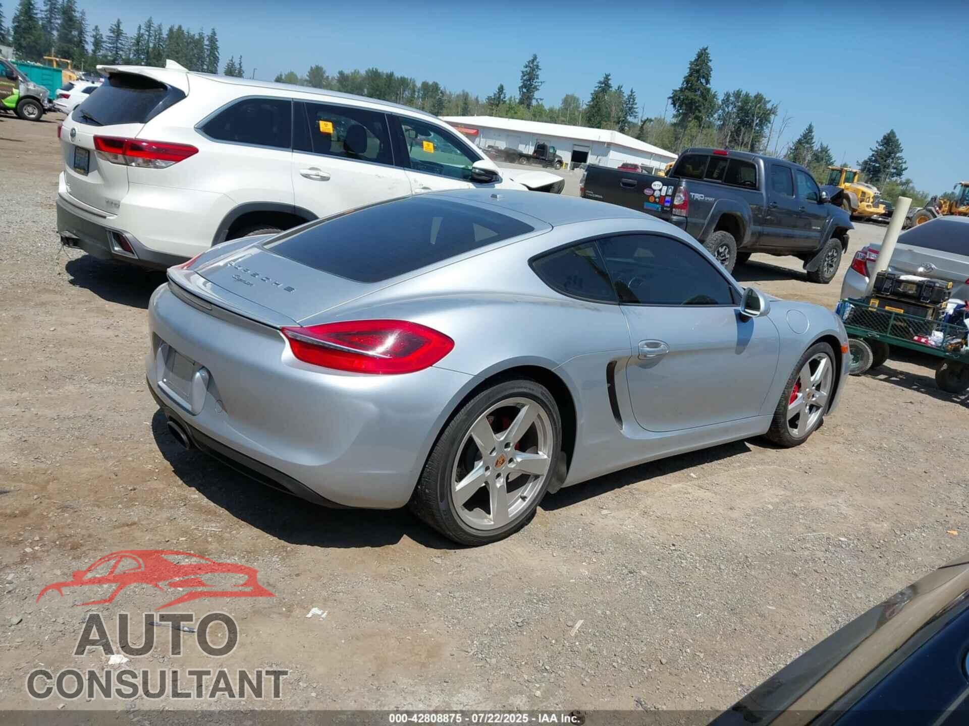 PORSCHE CAYMAN 2015 - WP0AA2A89FK160151