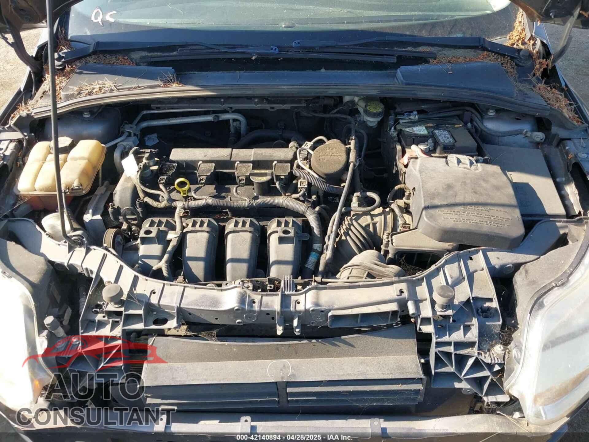 FORD FOCUS 2012 - 1FAHP3K23CL366865