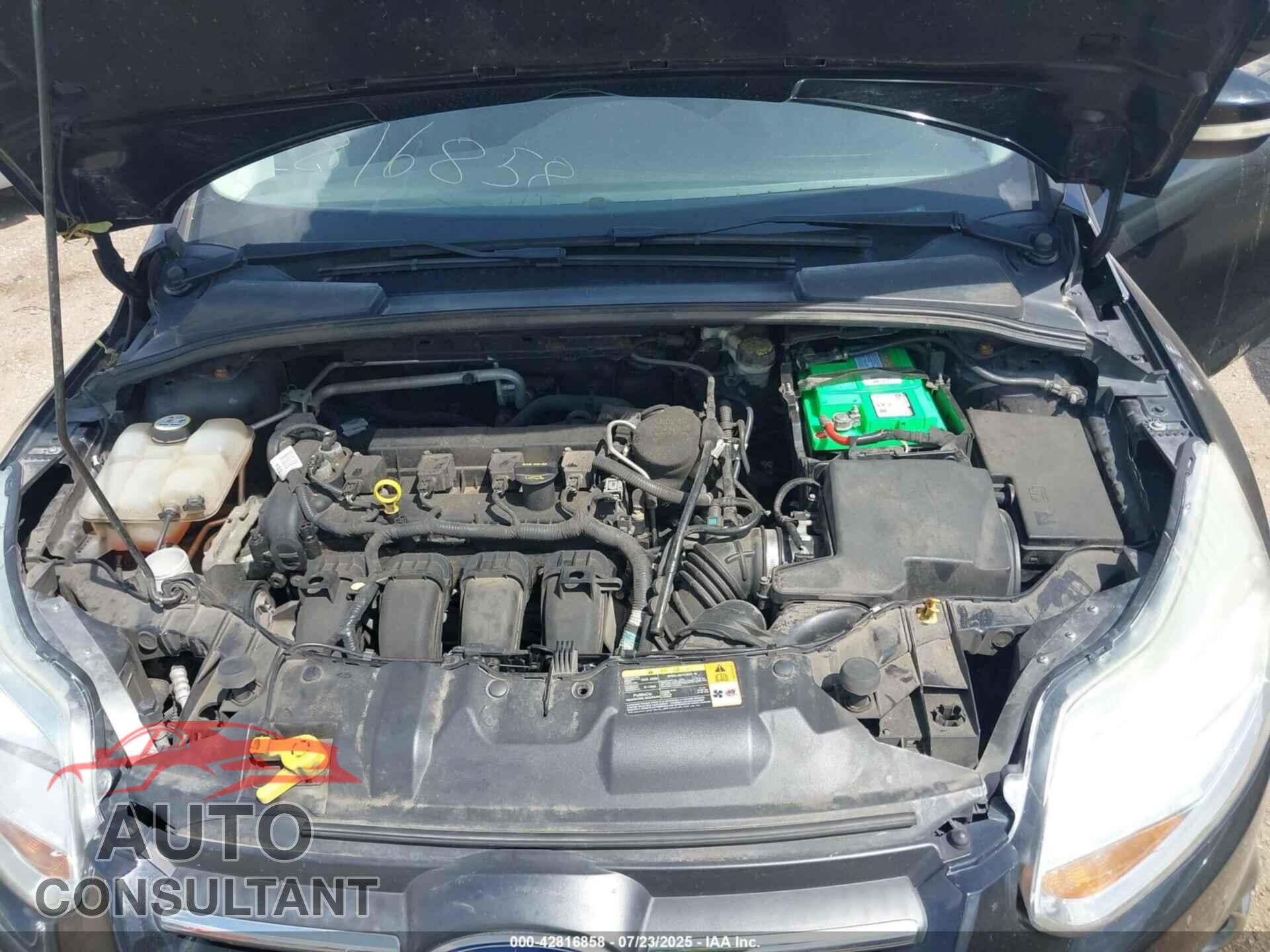 FORD FOCUS 2012 - 1FAHP3F22CL420926