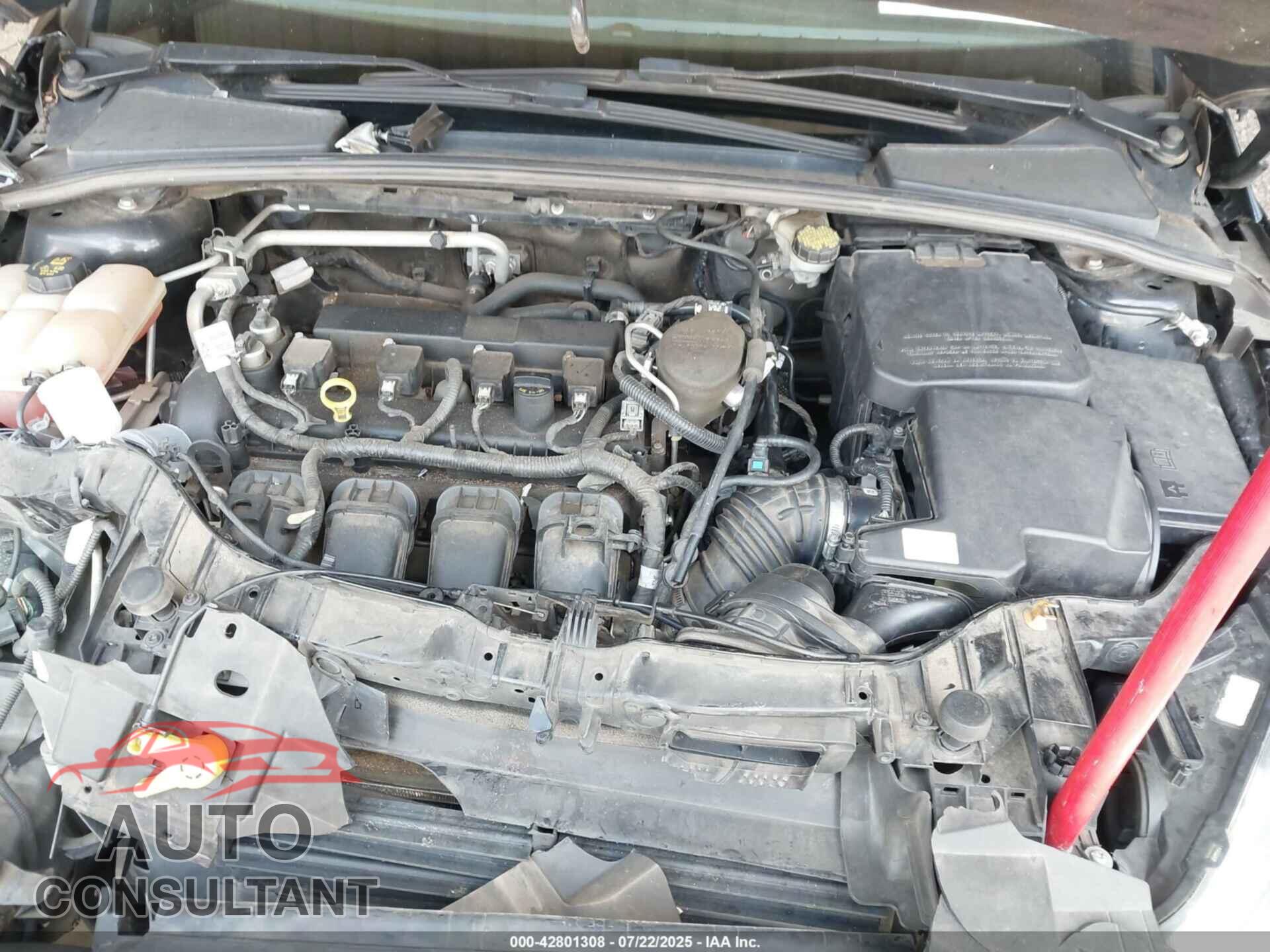 FORD FOCUS 2016 - 1FADP3F29GL304403