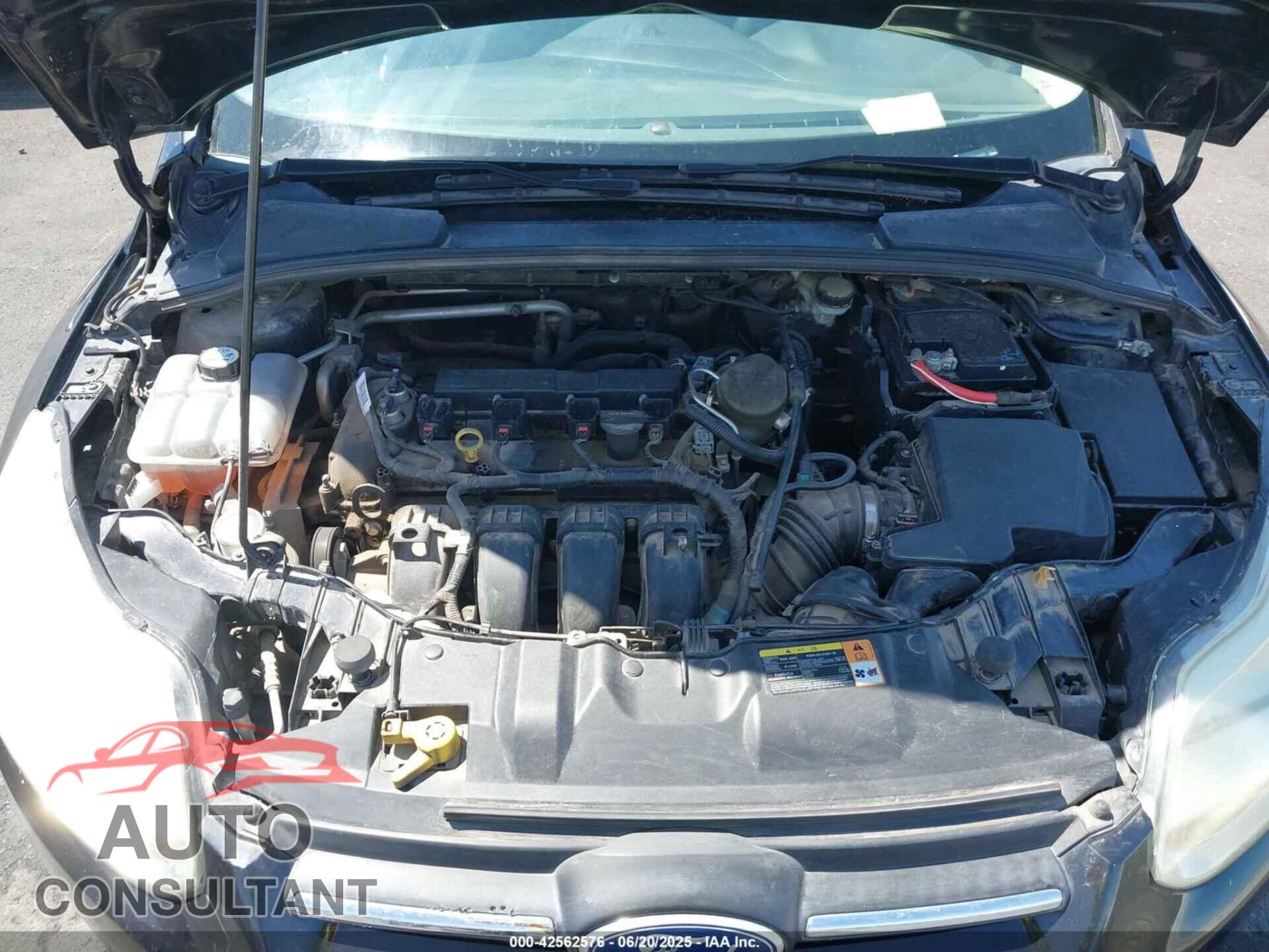 FORD FOCUS 2013 - 1FADP3F21DL264359