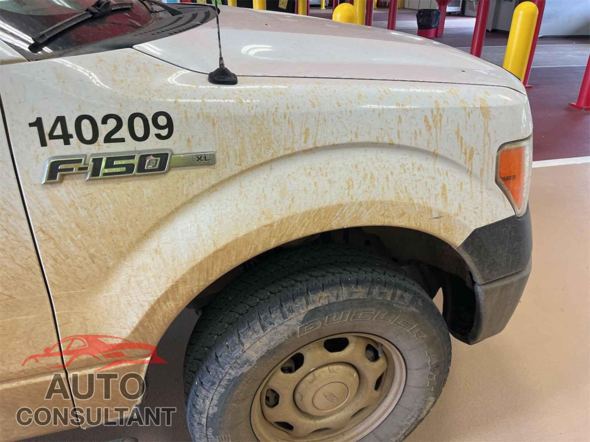 FORD F150 2014 - 1FTFX1EF4EKE59231