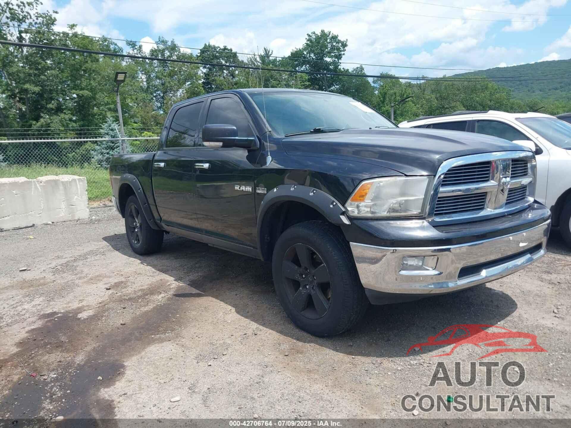 DODGE RAM 1500 2010 - 1D7RV1CT4AS183418