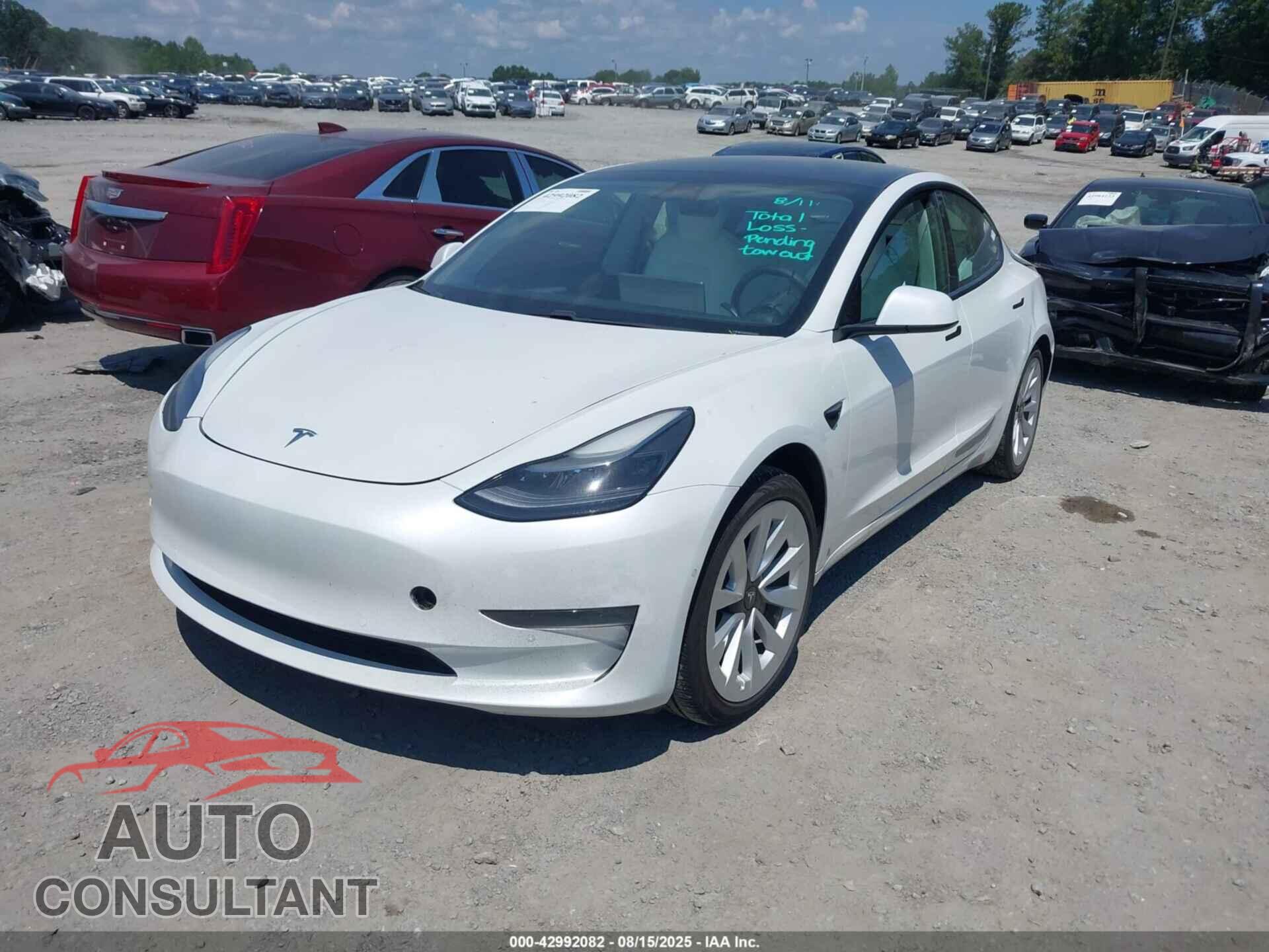 TESLA MODEL 3 2021 - 5YJ3E1EA9MF019269