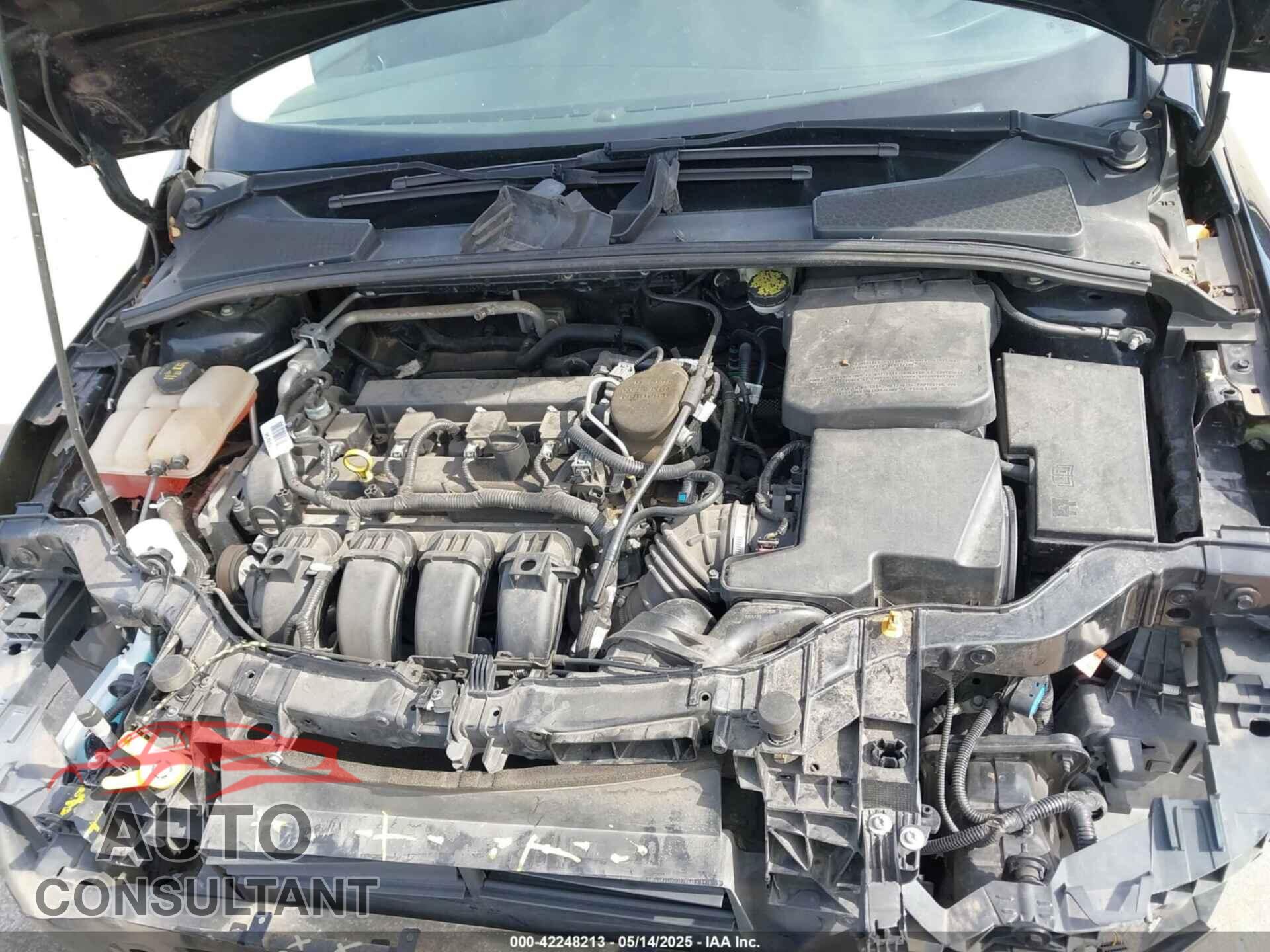 FORD FOCUS 2016 - 1FADP3K29GL228462