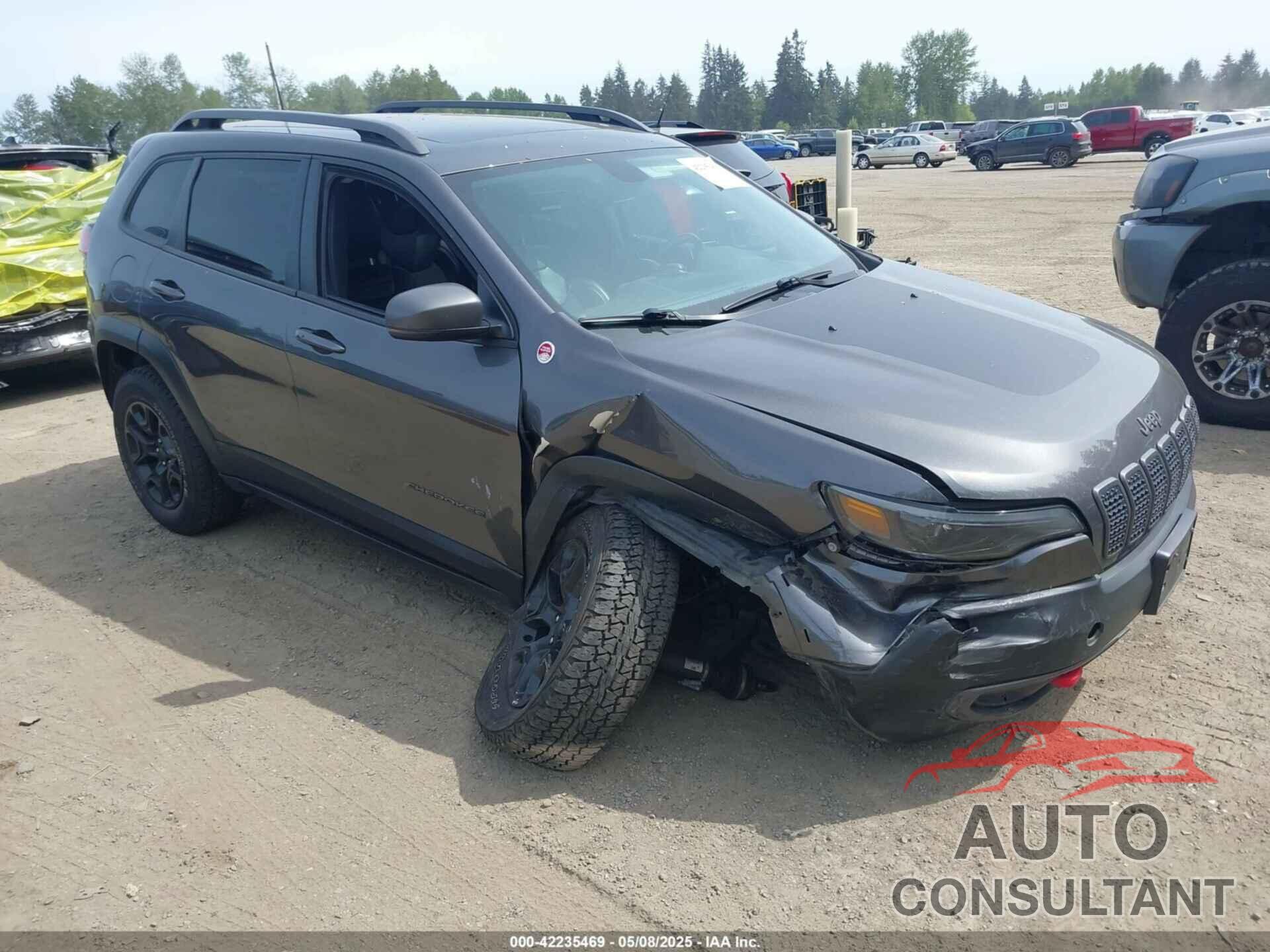 JEEP CHEROKEE 2019 - 1C4PJMBX2KD231734