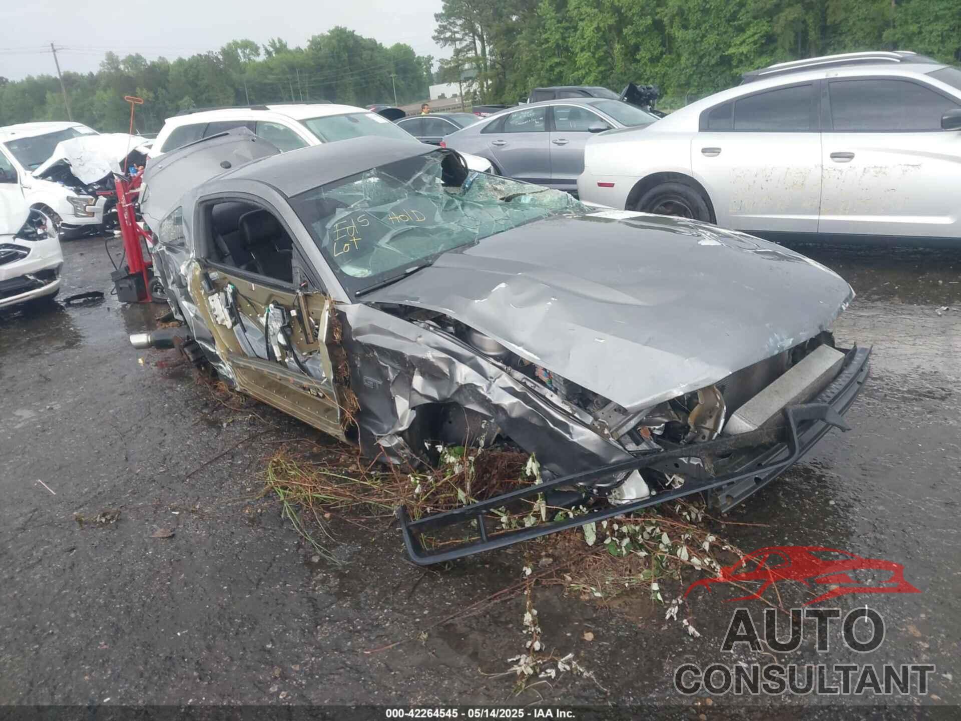 FORD MUSTANG 2010 - 1ZVBP8CH7A5104796