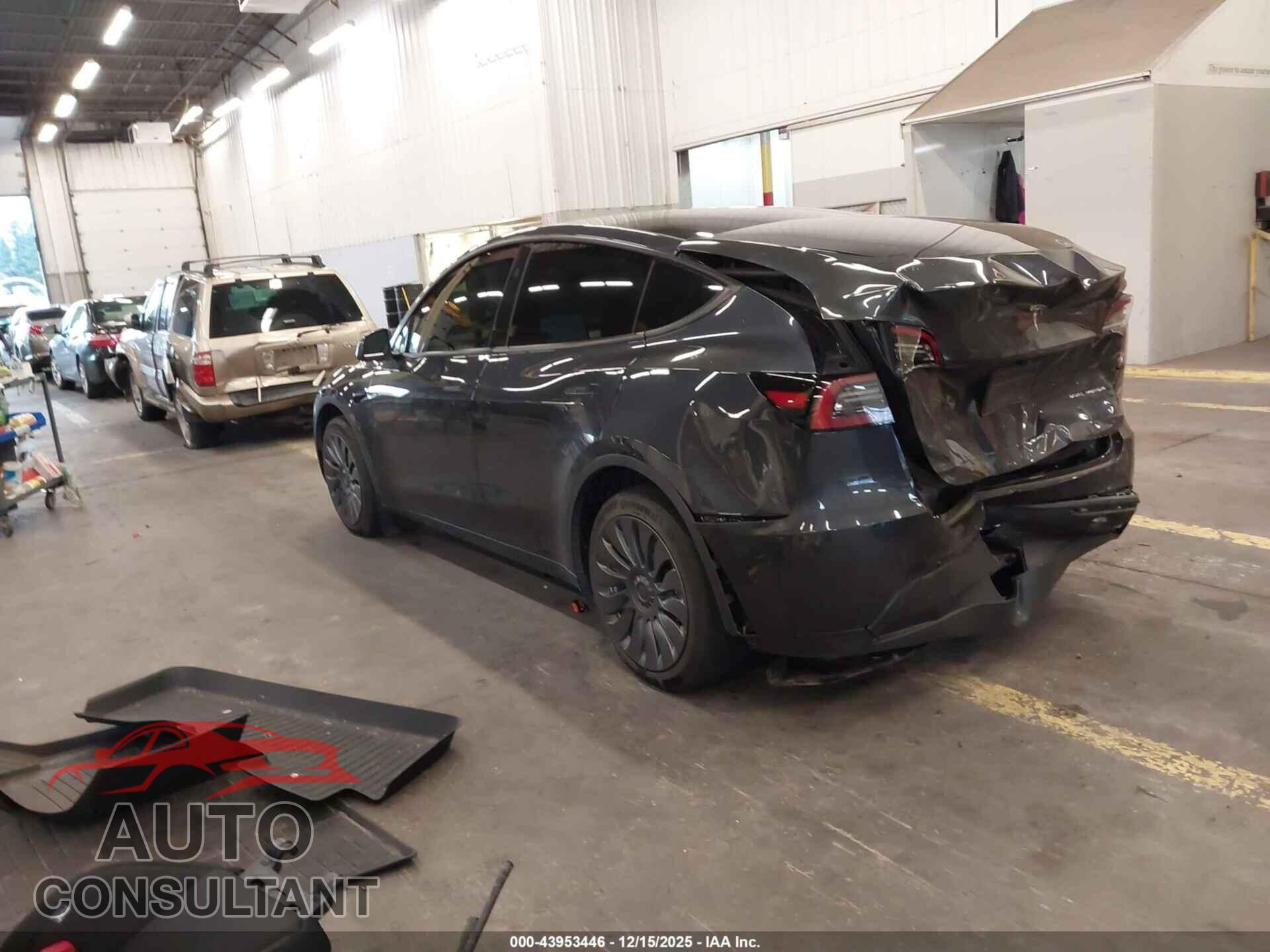 TESLA MODEL Y 2024 - 7SAYGDEE5RF026346