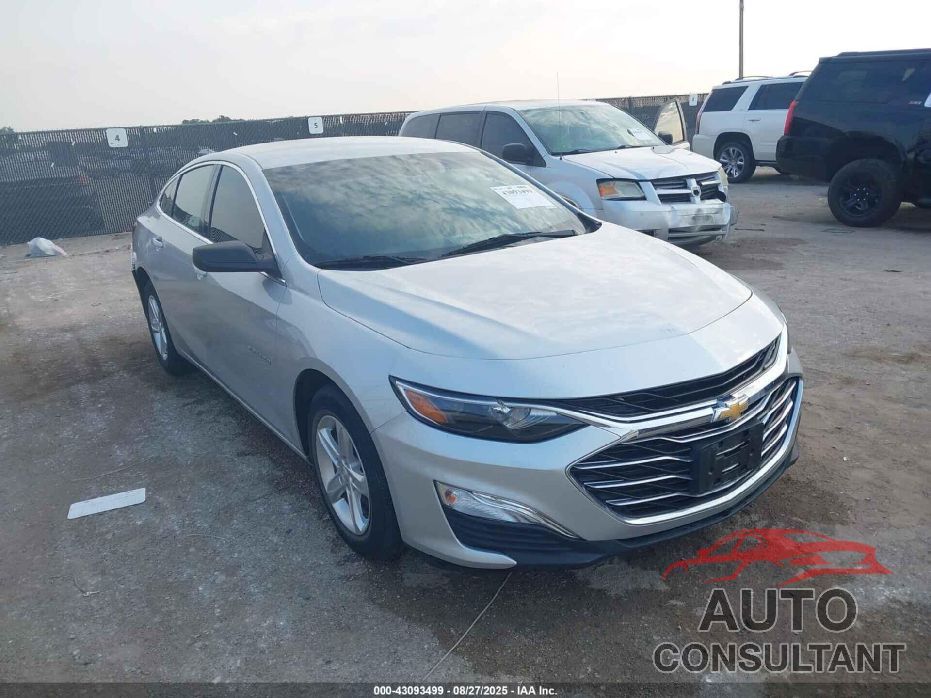 CHEVROLET MALIBU 2019 - 1G1ZB5ST7KF177692