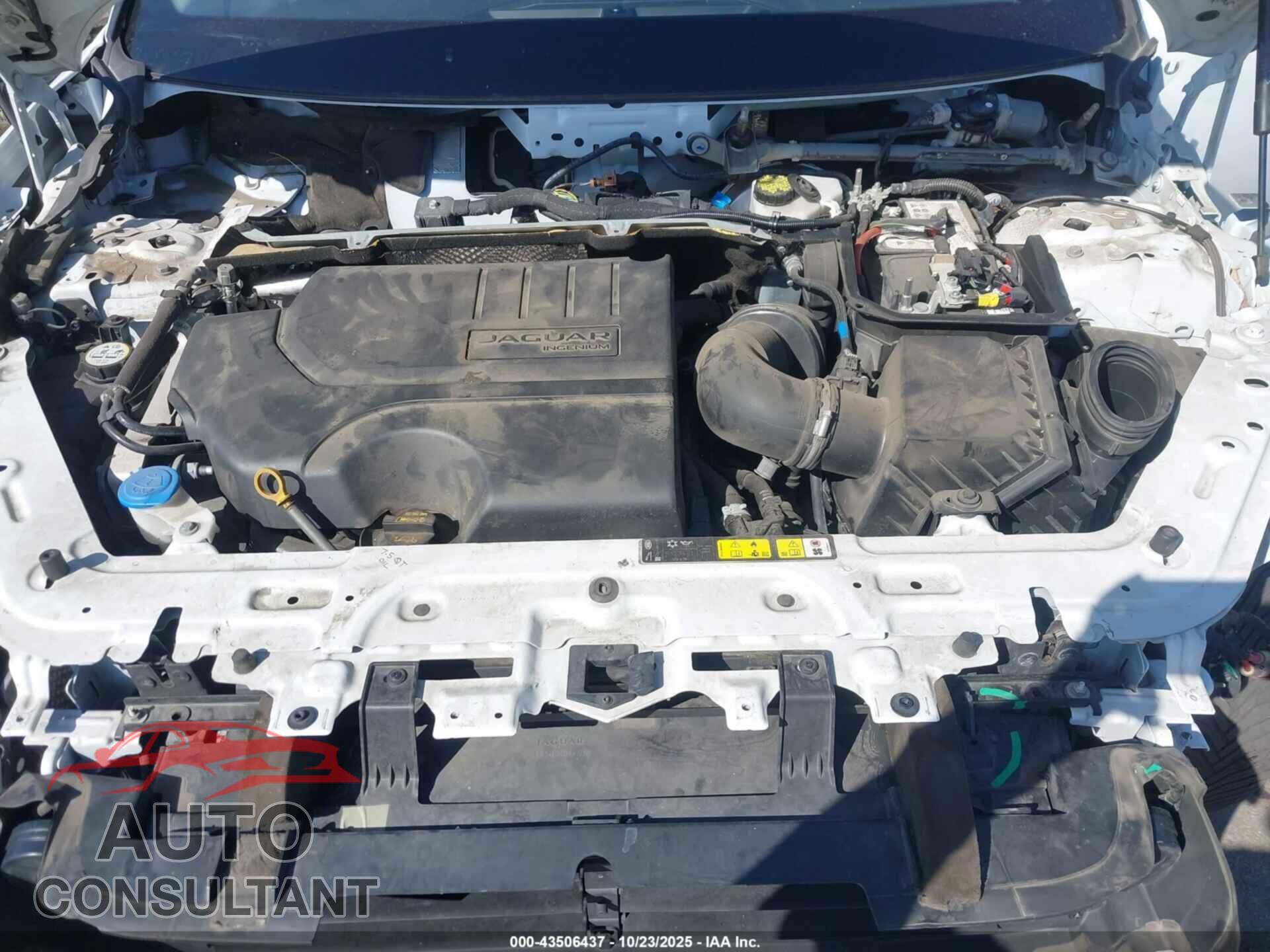 JAGUAR E-PACE 2019 - SADFK2FX5K1Z63563