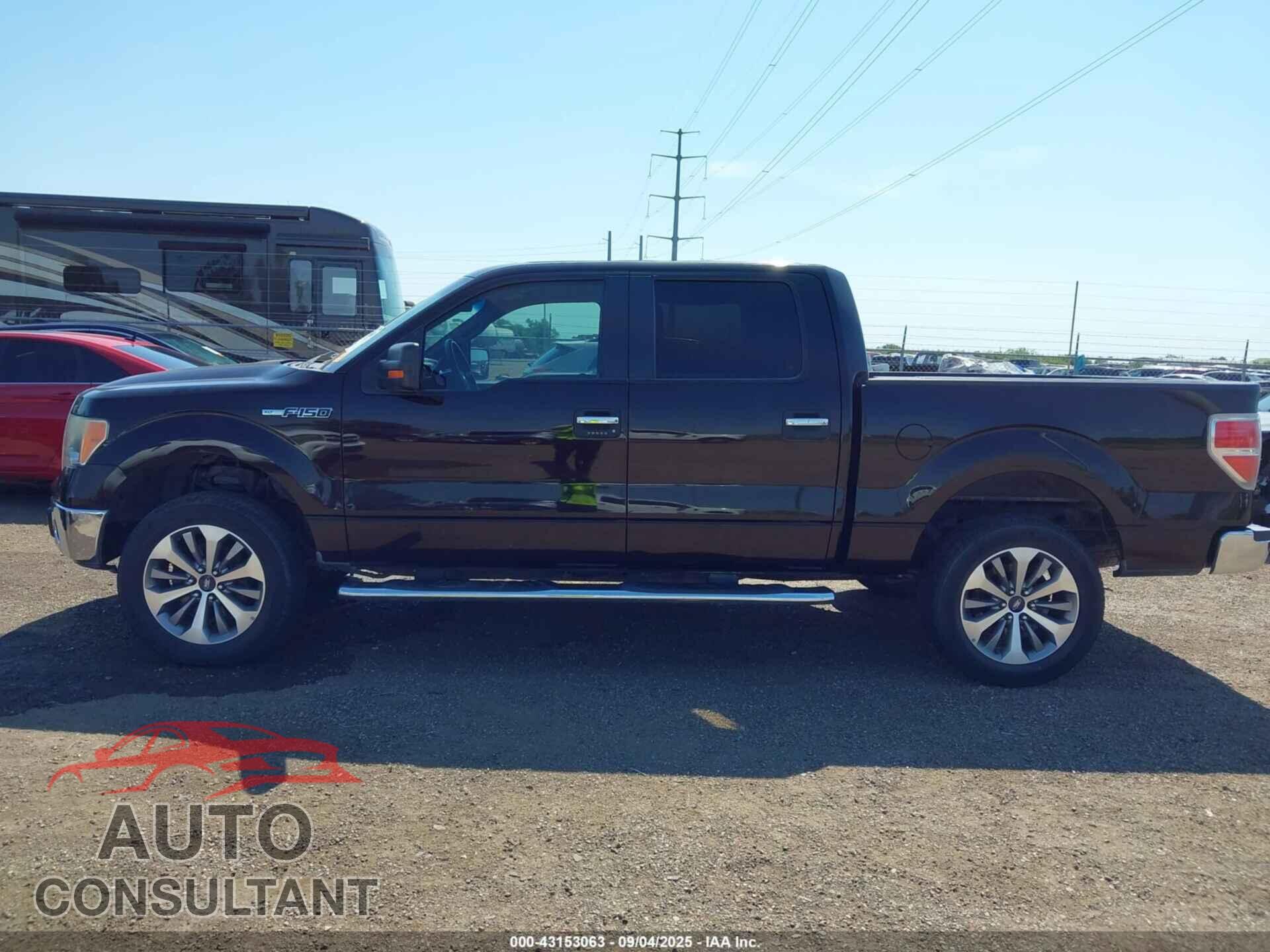 FORD F-150 2013 - 1FTFW1CF3DFE02175