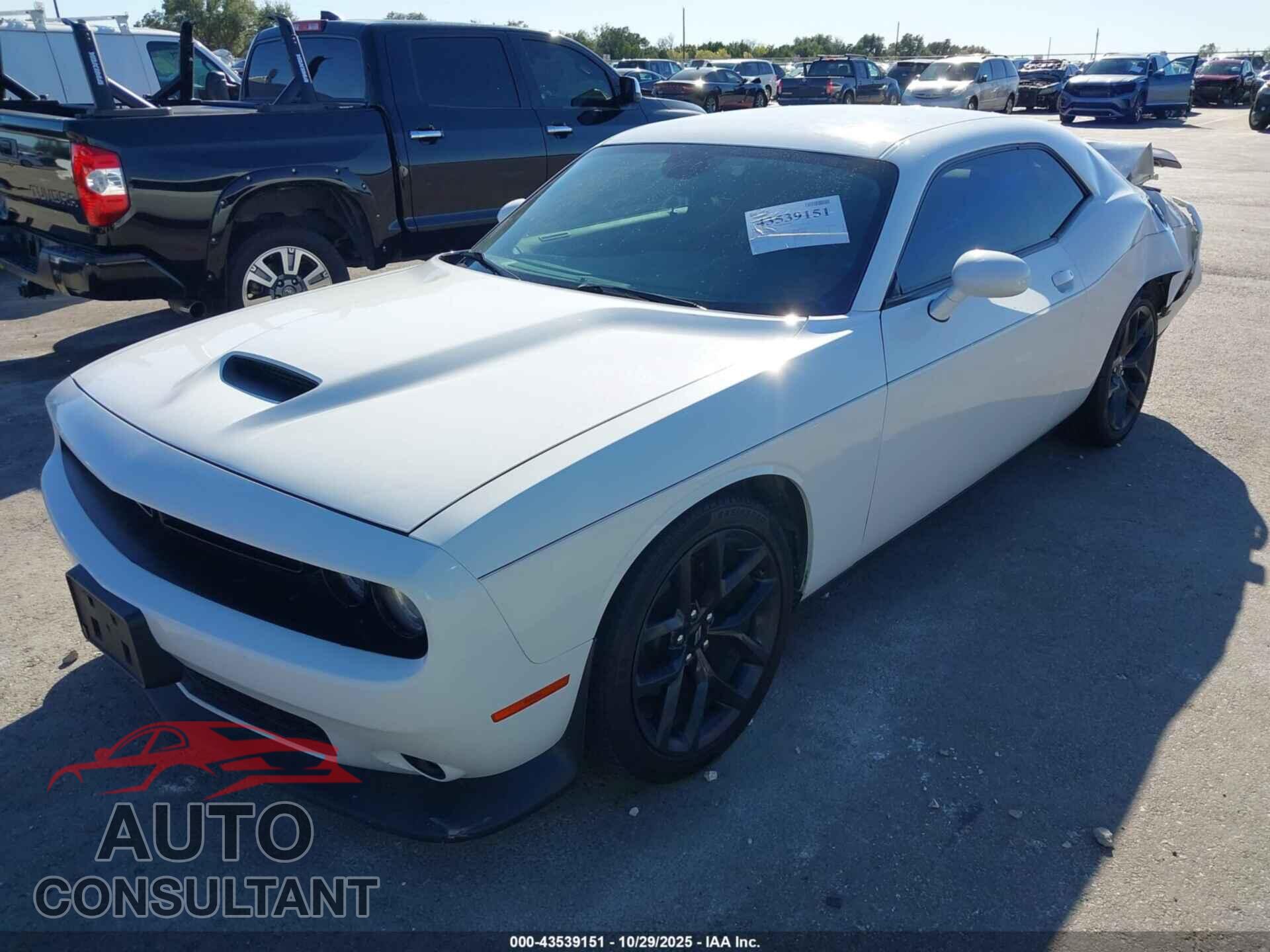 DODGE CHALLENGER 2019 - 2C3CDZJG2KH621146