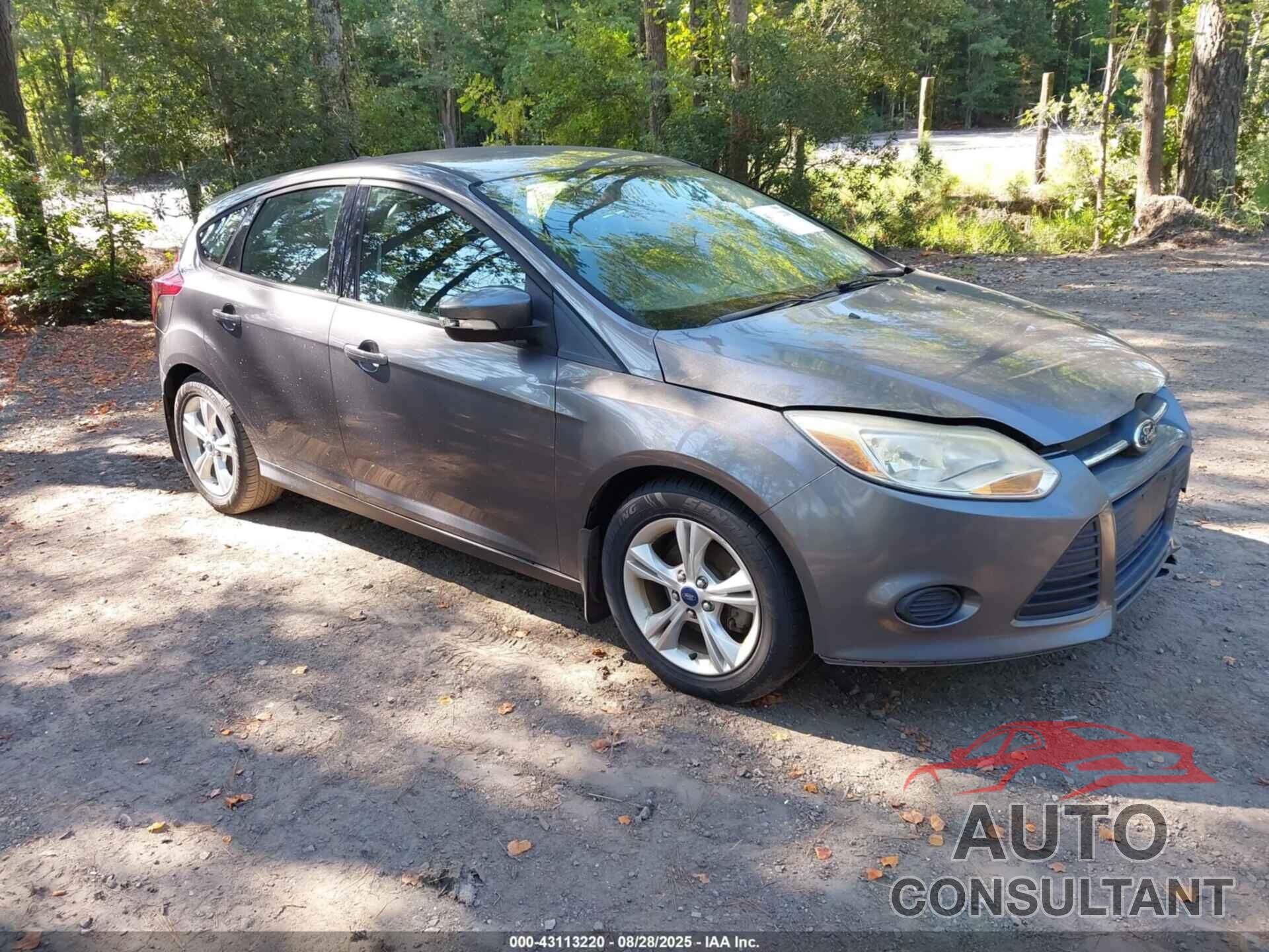 FORD FOCUS 2014 - 1FADP3K20EL383415