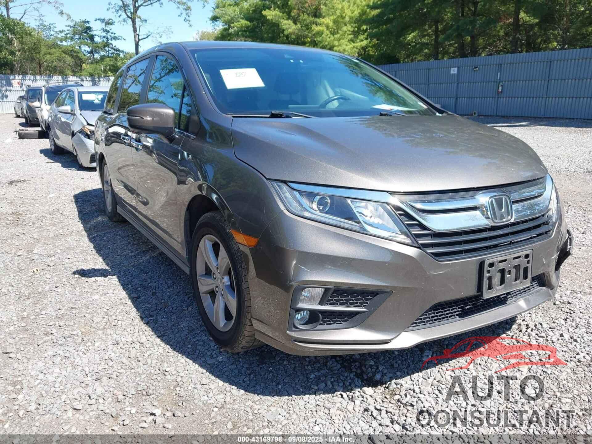 HONDA ODYSSEY 2019 - 5FNRL6H75KB097137