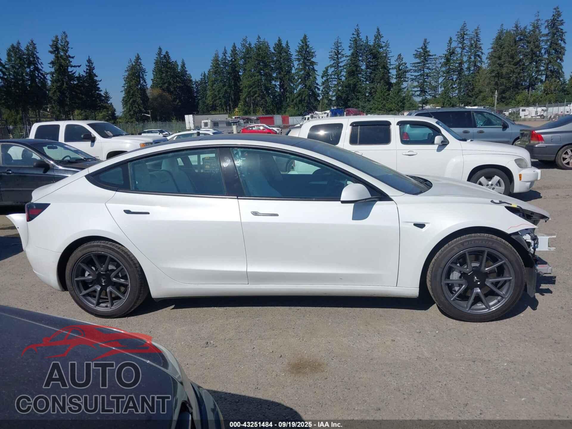 TESLA MODEL 3 2021 - 5YJ3E1EA5MF098021