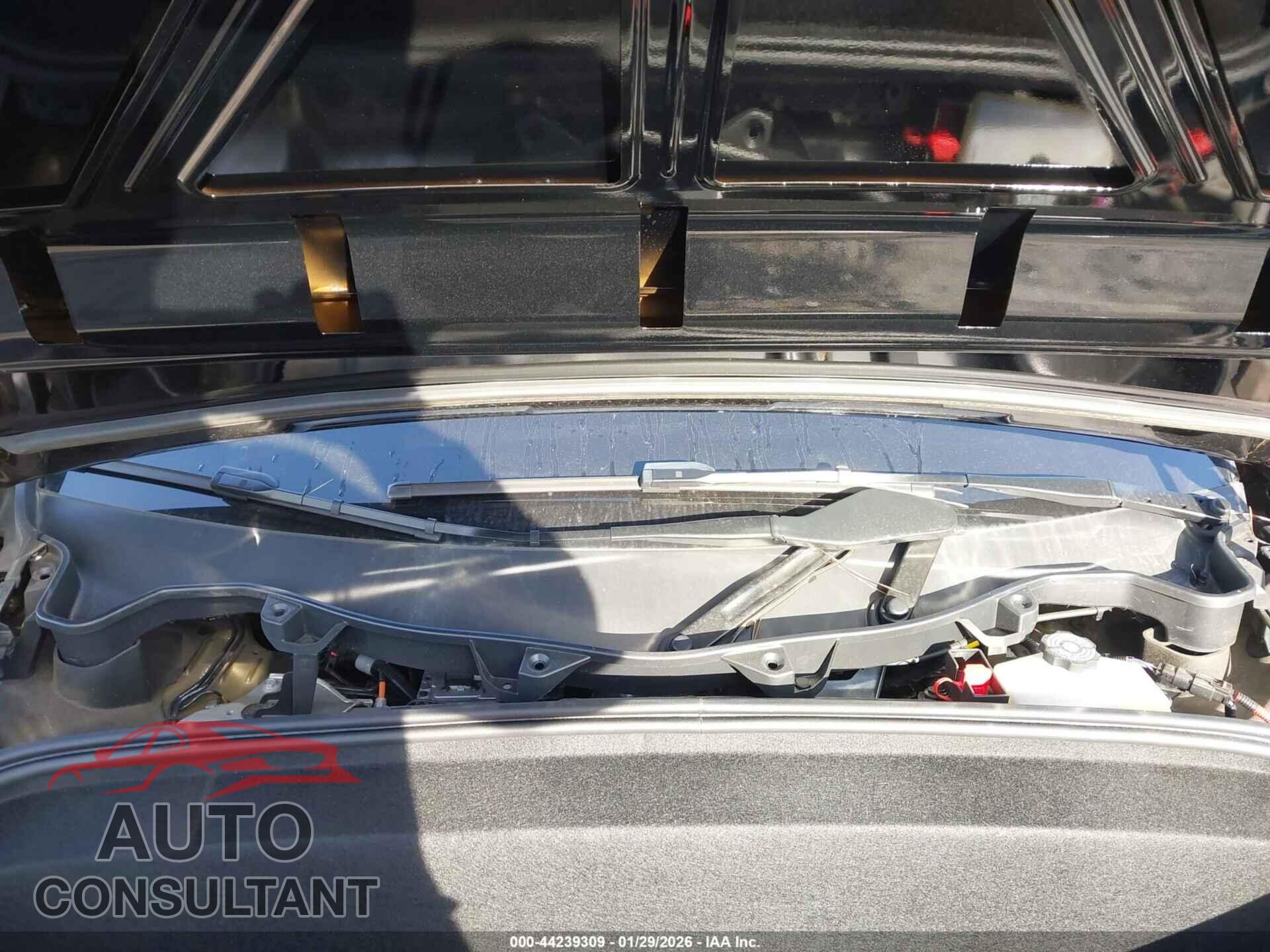 TESLA MODEL X 2024 - 7SAXCAE58RF442736