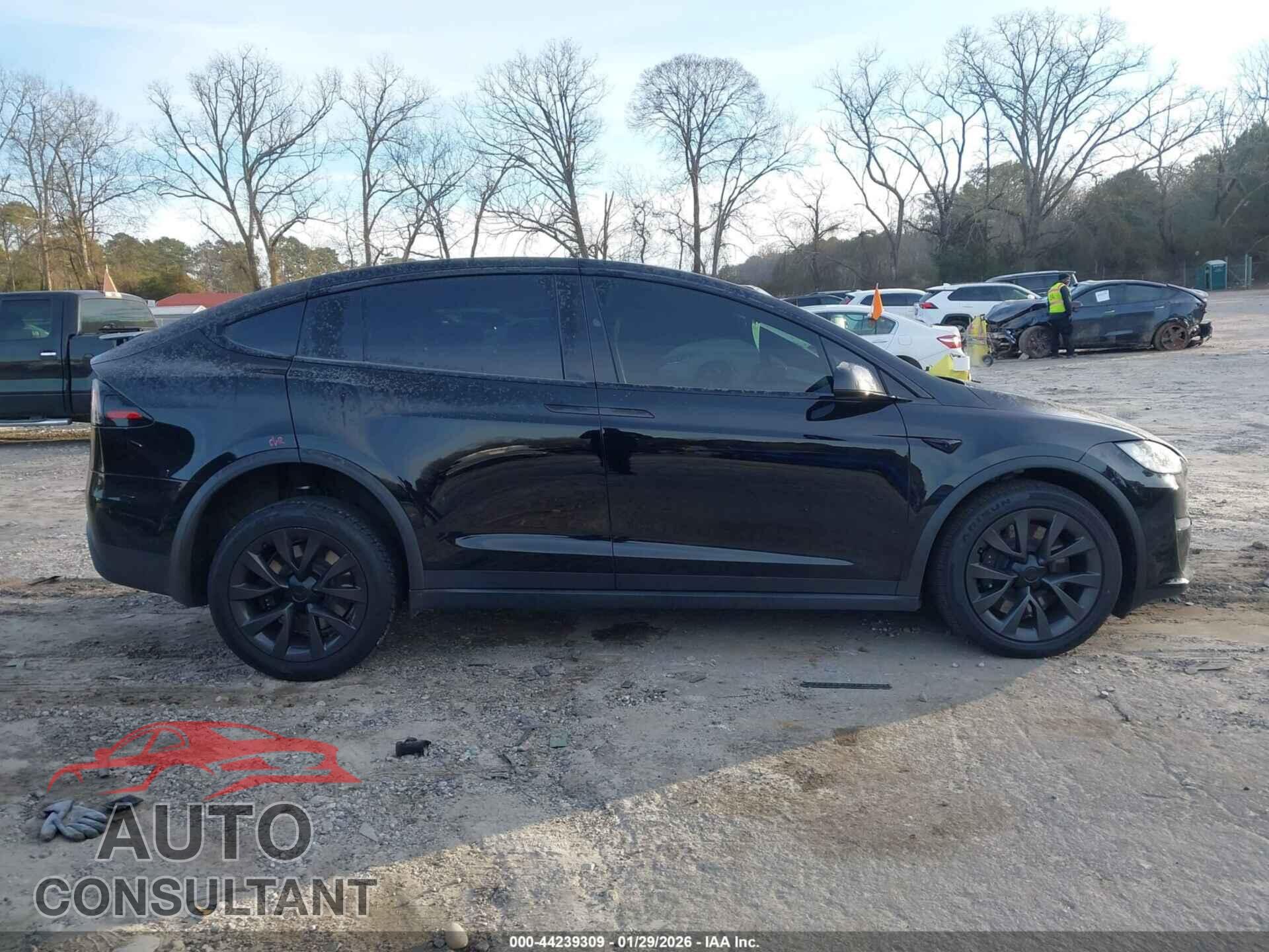 TESLA MODEL X 2024 - 7SAXCAE58RF442736