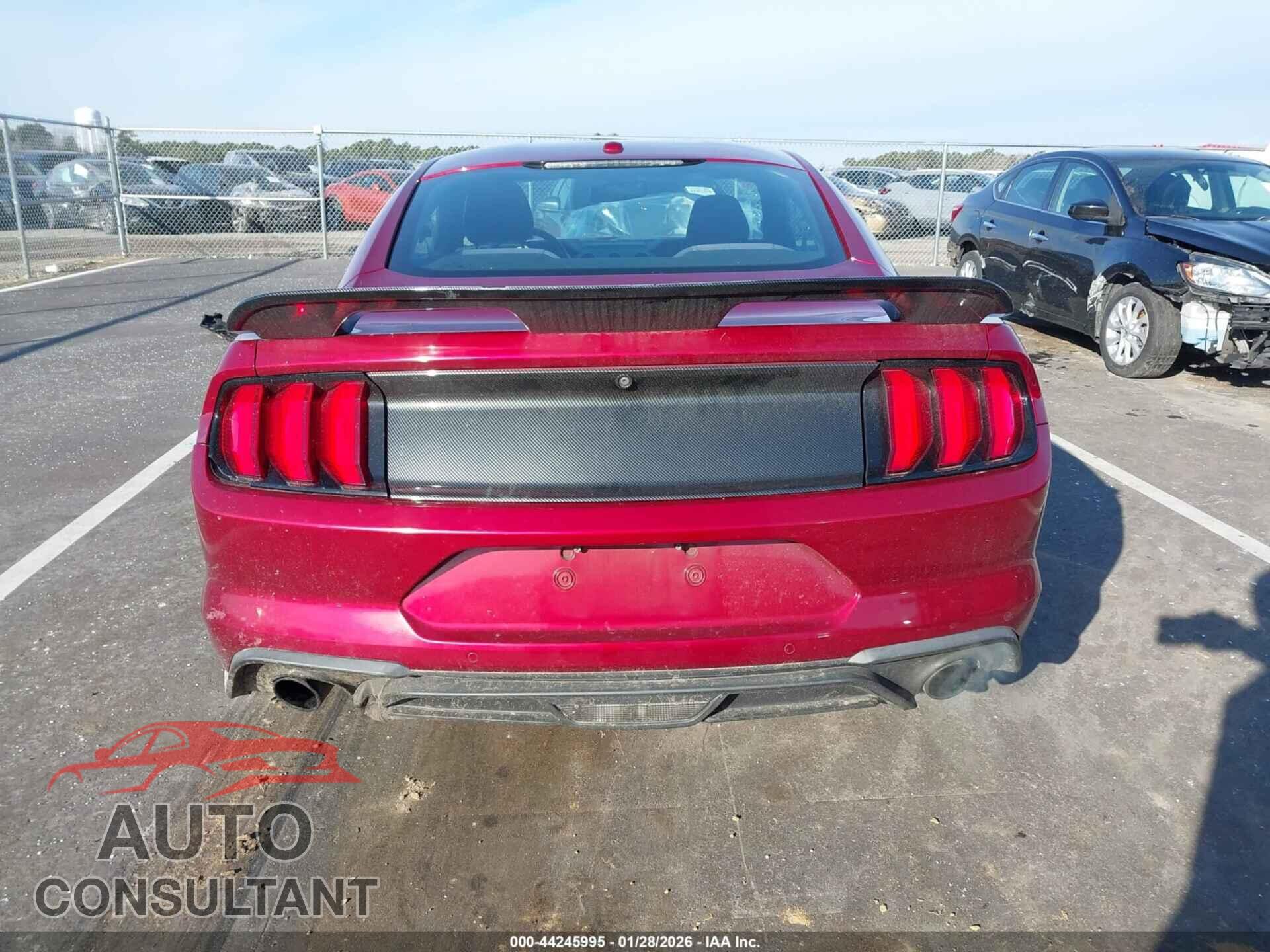 FORD MUSTANG 2019 - 1FA6P8TH3K5185100