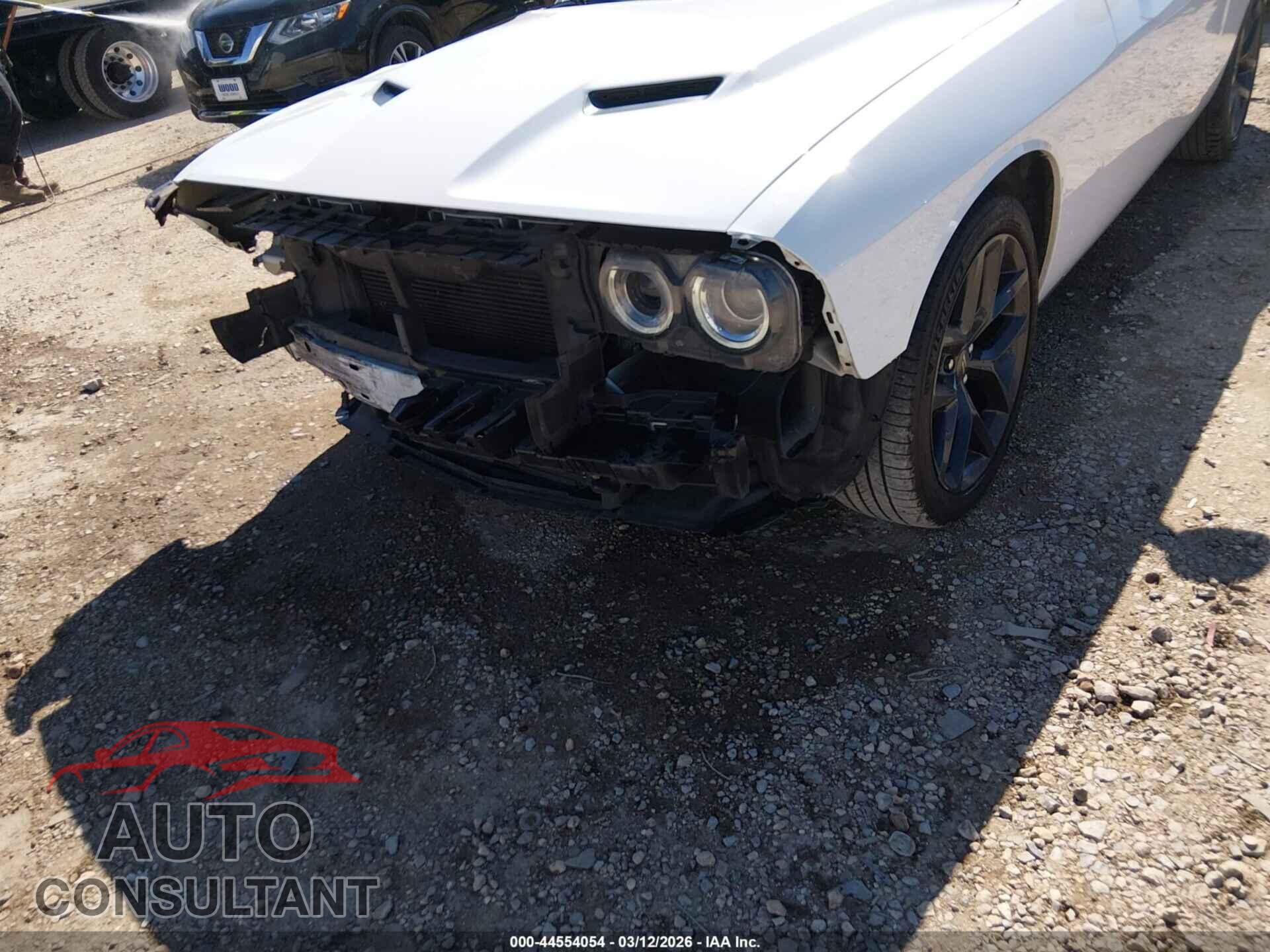 DODGE CHALLENGER 2019 - 2C3CDZAG9KH691629