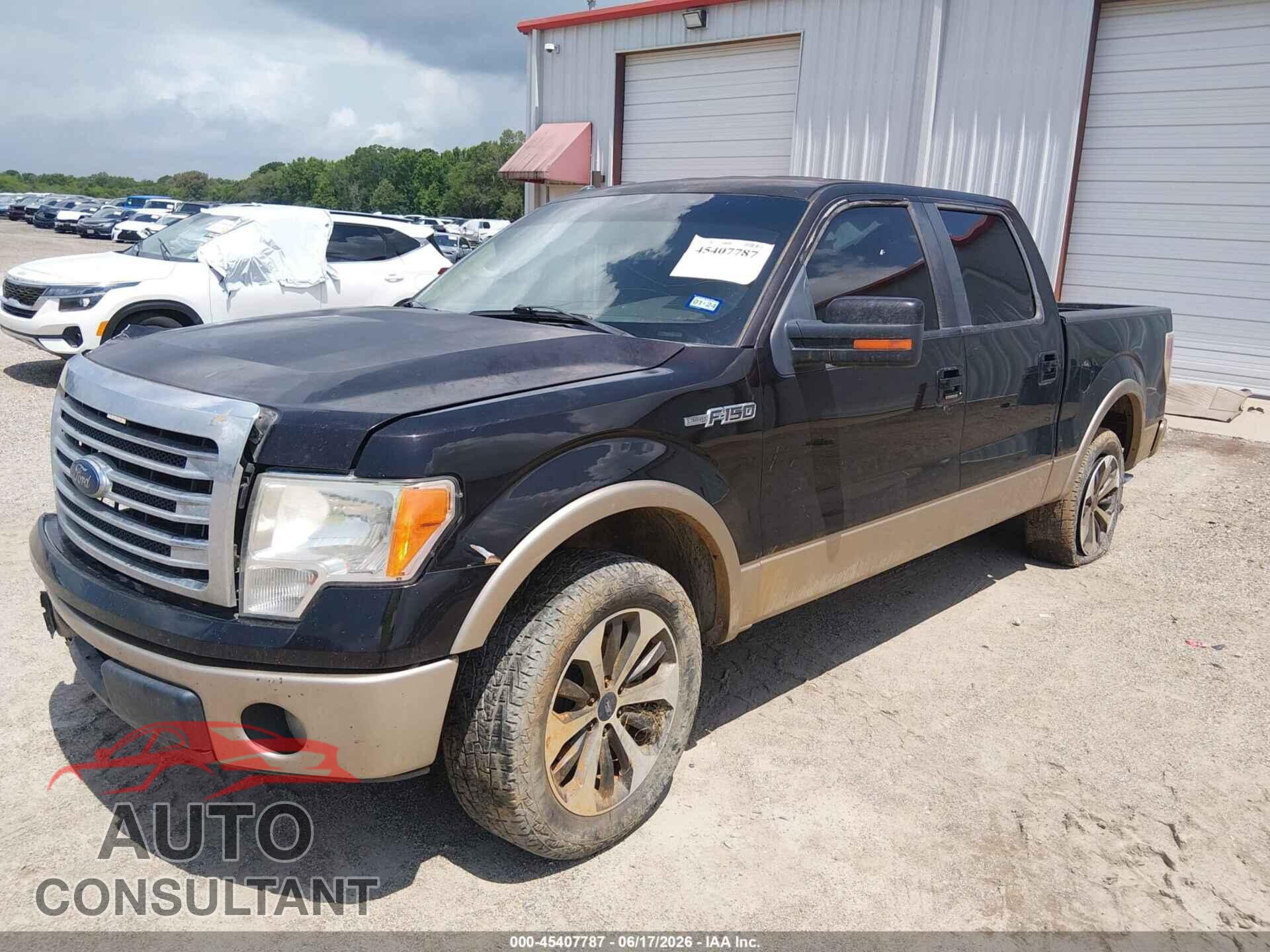FORD F-150 2013 - 1FTFW1CF4DKF19268