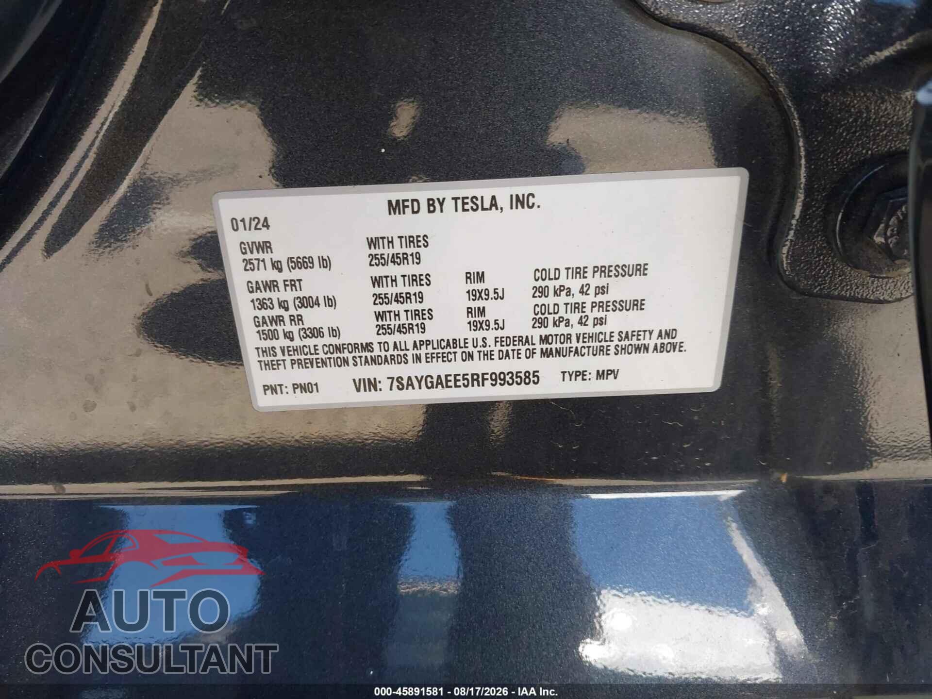 TESLA MODEL Y 2024 - 7SAYGAEE5RF993585