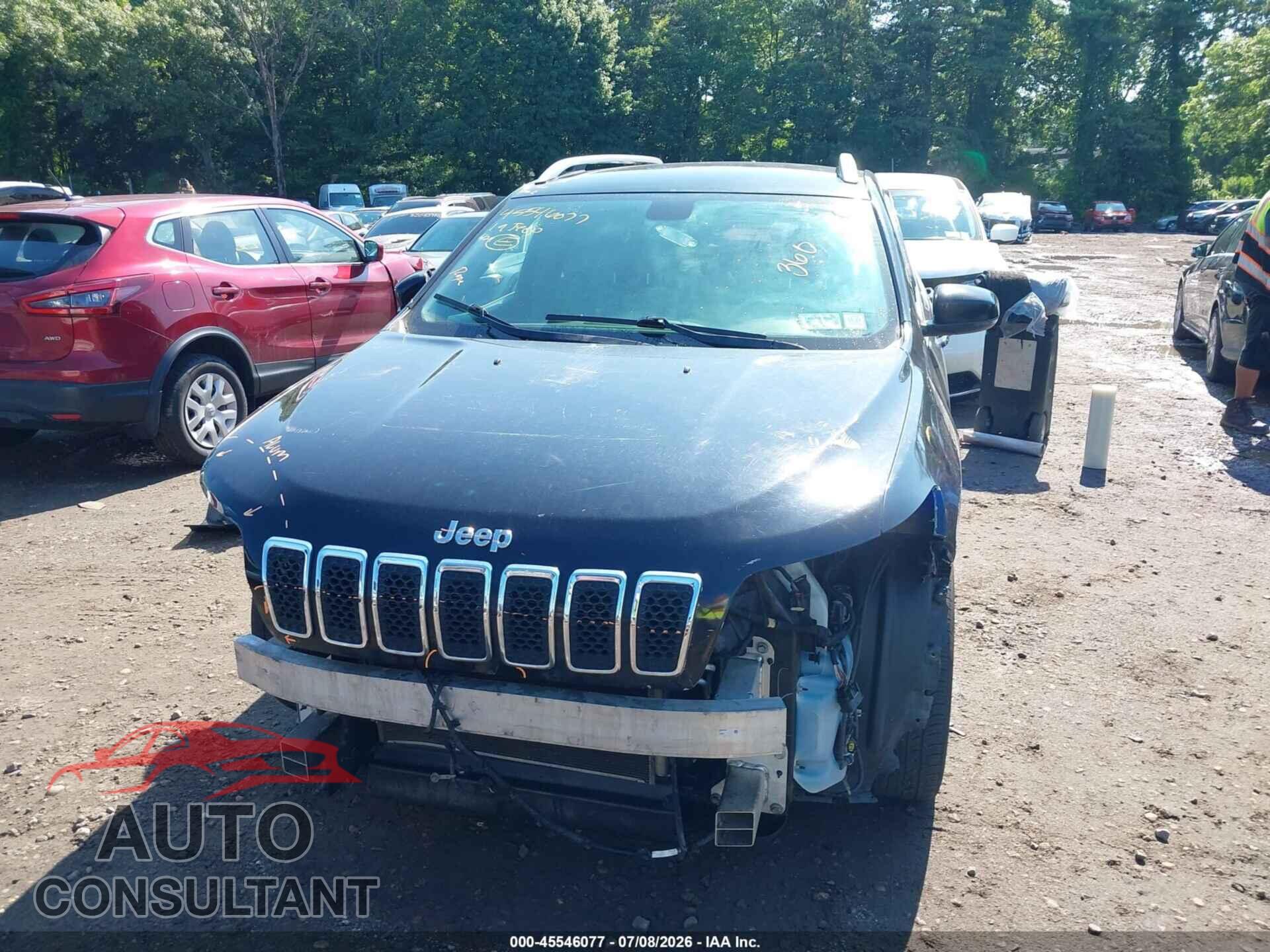 JEEP CHEROKEE 2019 - 1C4PJLDB2KD433968