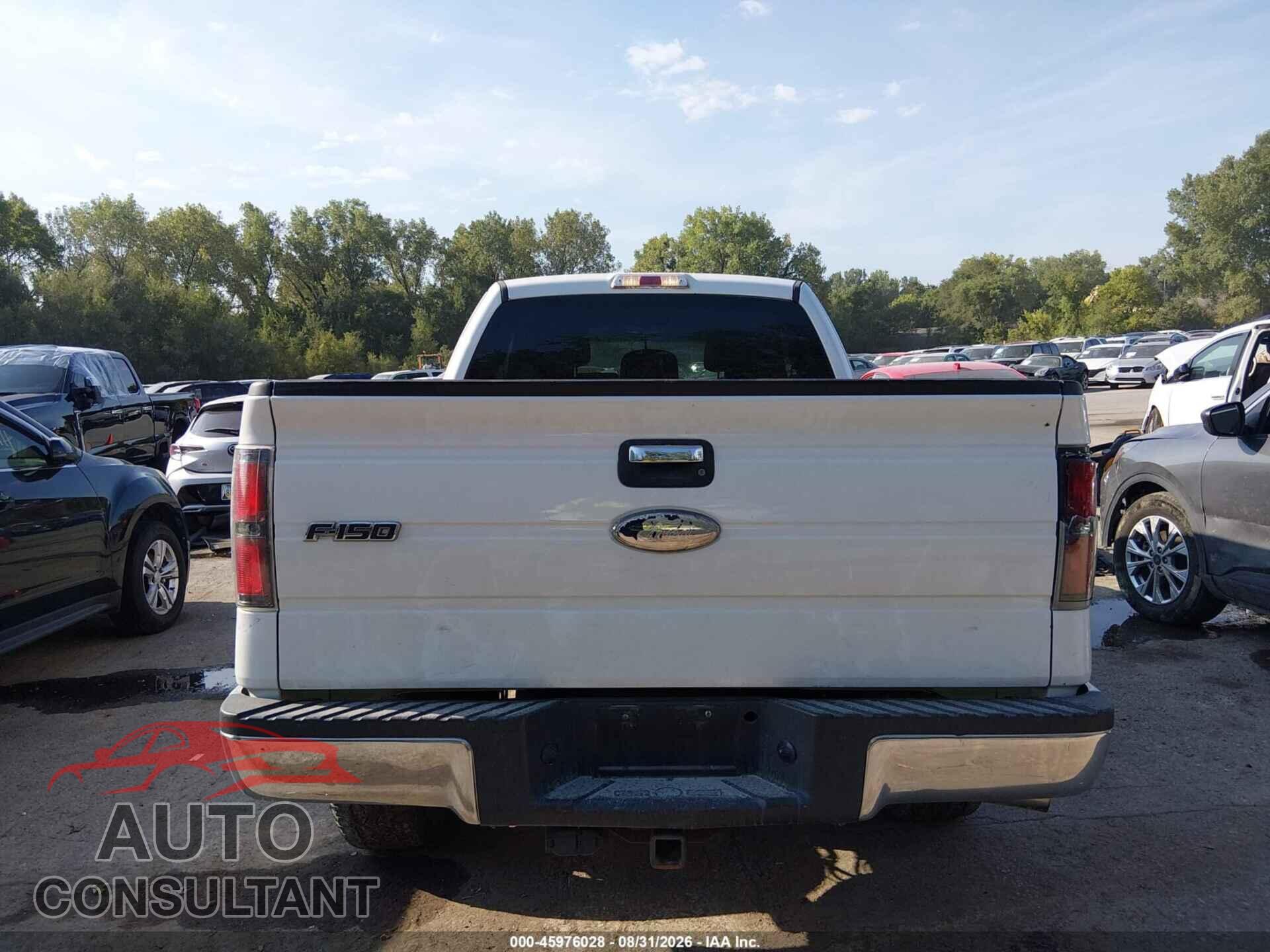 FORD F-150 2011 - 1FTFX1ET1BFC58655