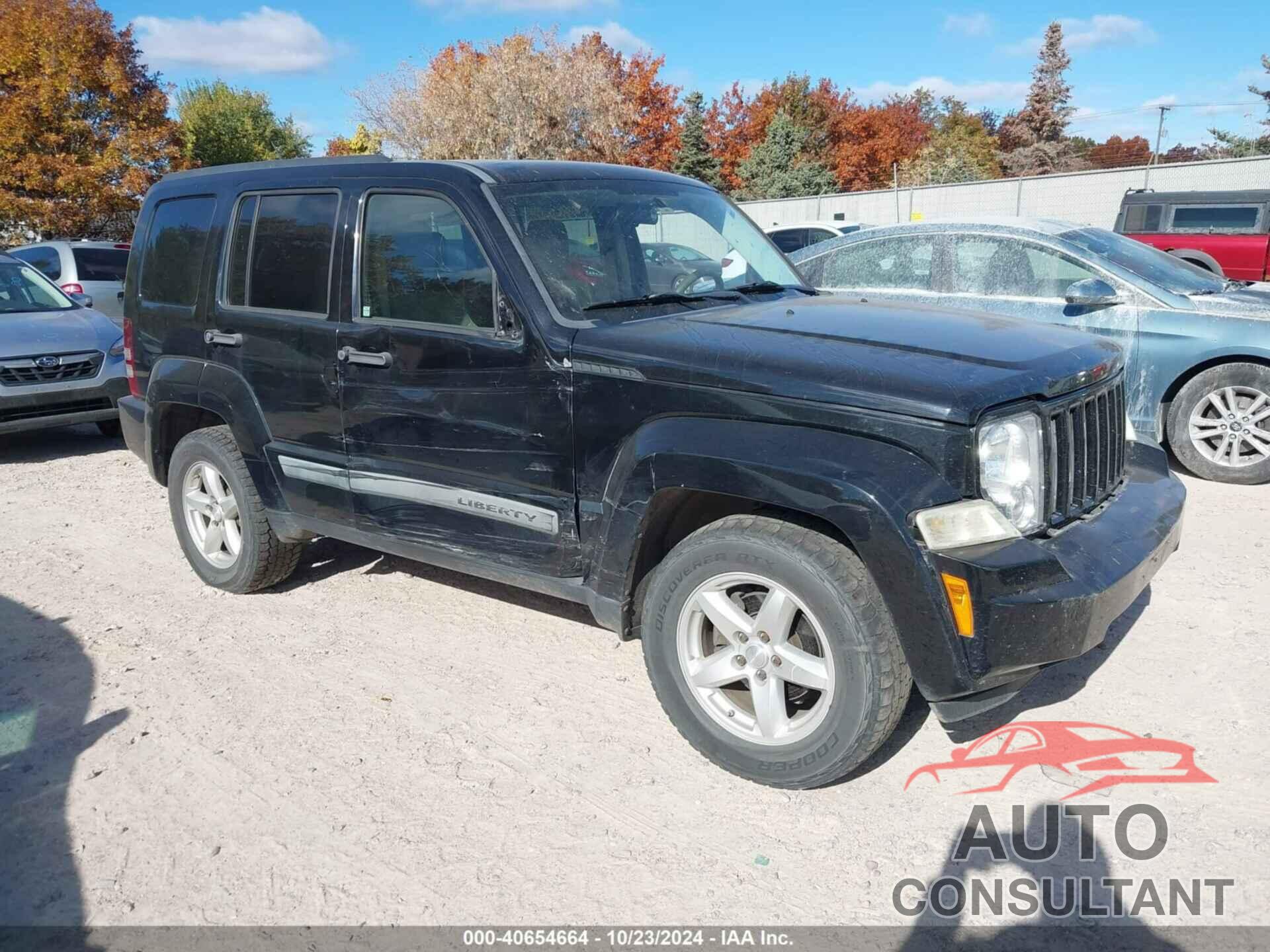 JEEP LIBERTY 2009 - 1J8GN28KX9W544557