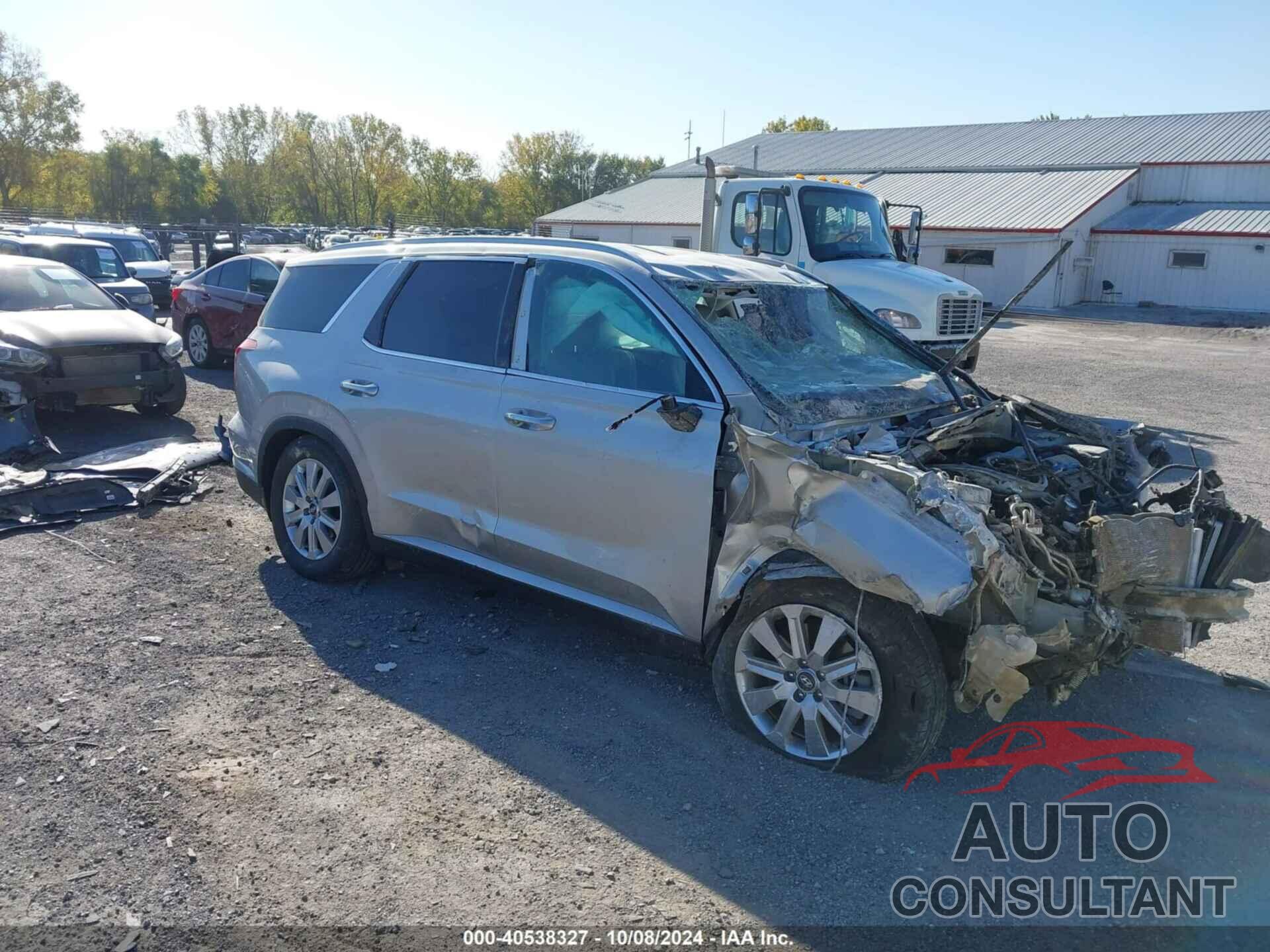 HYUNDAI PALISADE 2024 - KM8R2DGE9RU763422