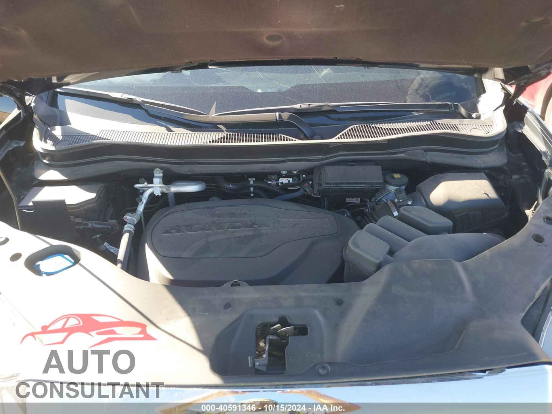 HONDA RIDGELINE 2024 - 5FPYK3F54RB008268