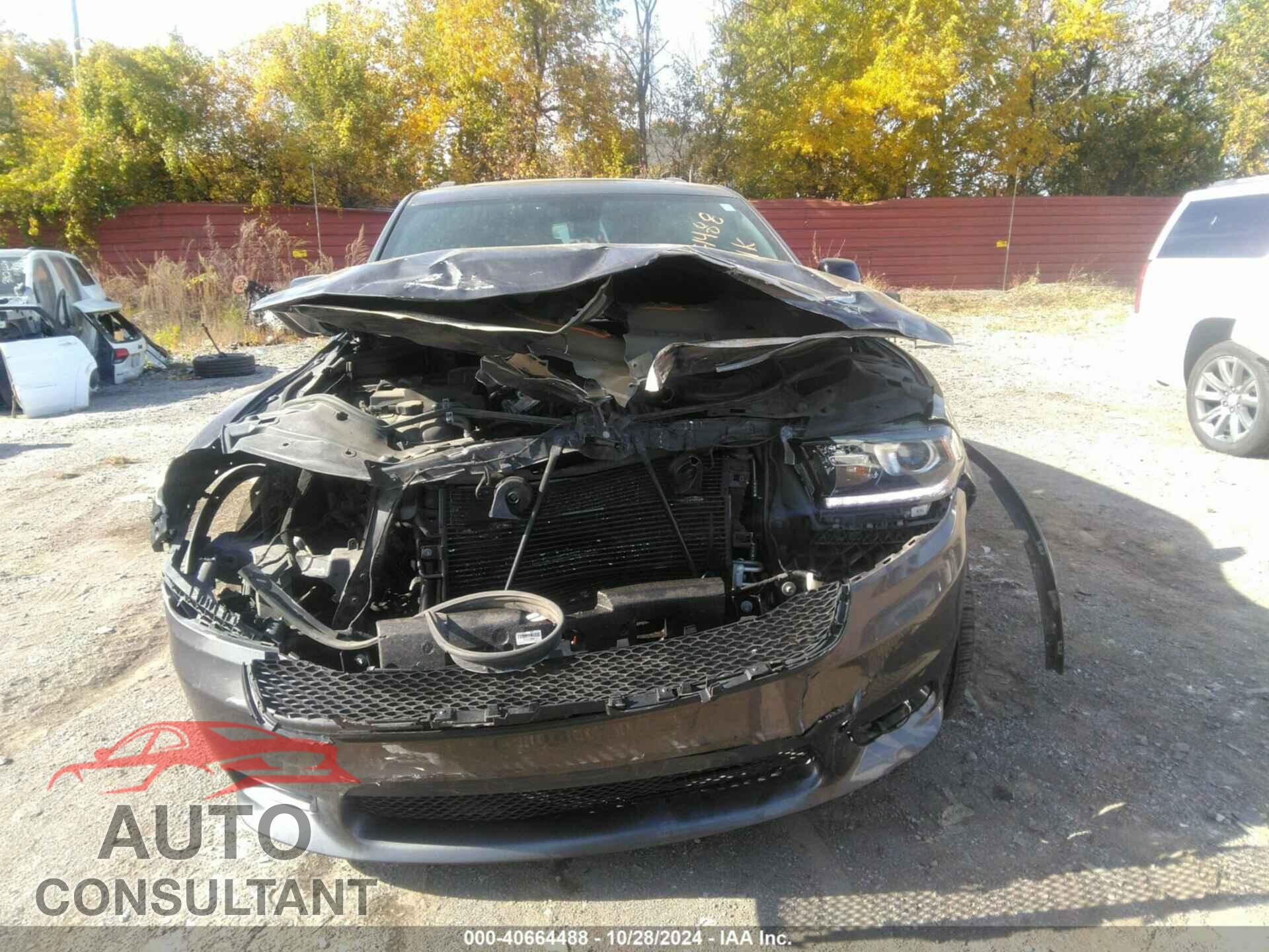 DODGE DURANGO 2019 - 1C4RDJDG3KC634218