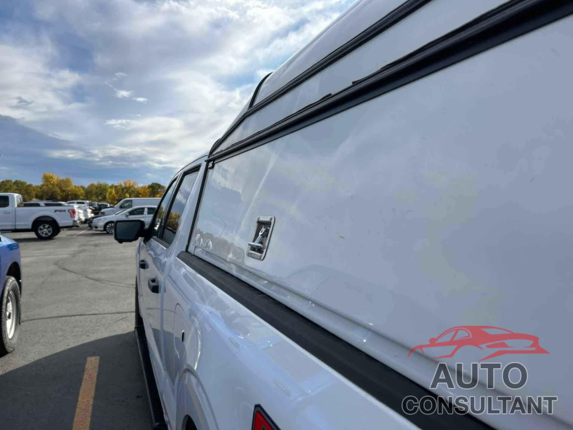 FORD F-150 2021 - 1FTFW1E87MKE96213