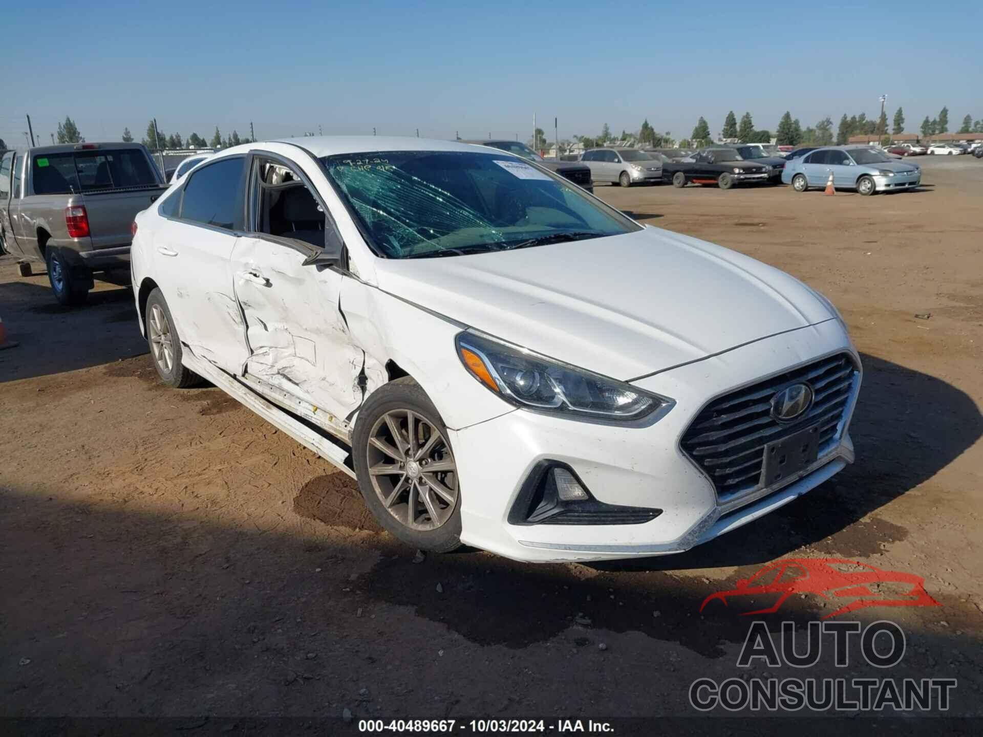 HYUNDAI SONATA 2019 - 5NPE24AF5KH765219