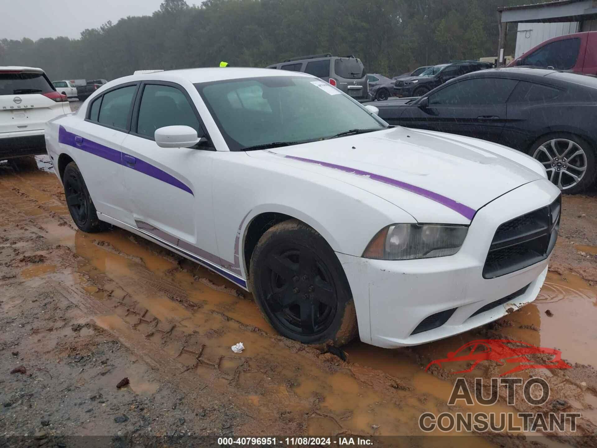 DODGE CHARGER 2013 - 2C3CDXAG1DH568303