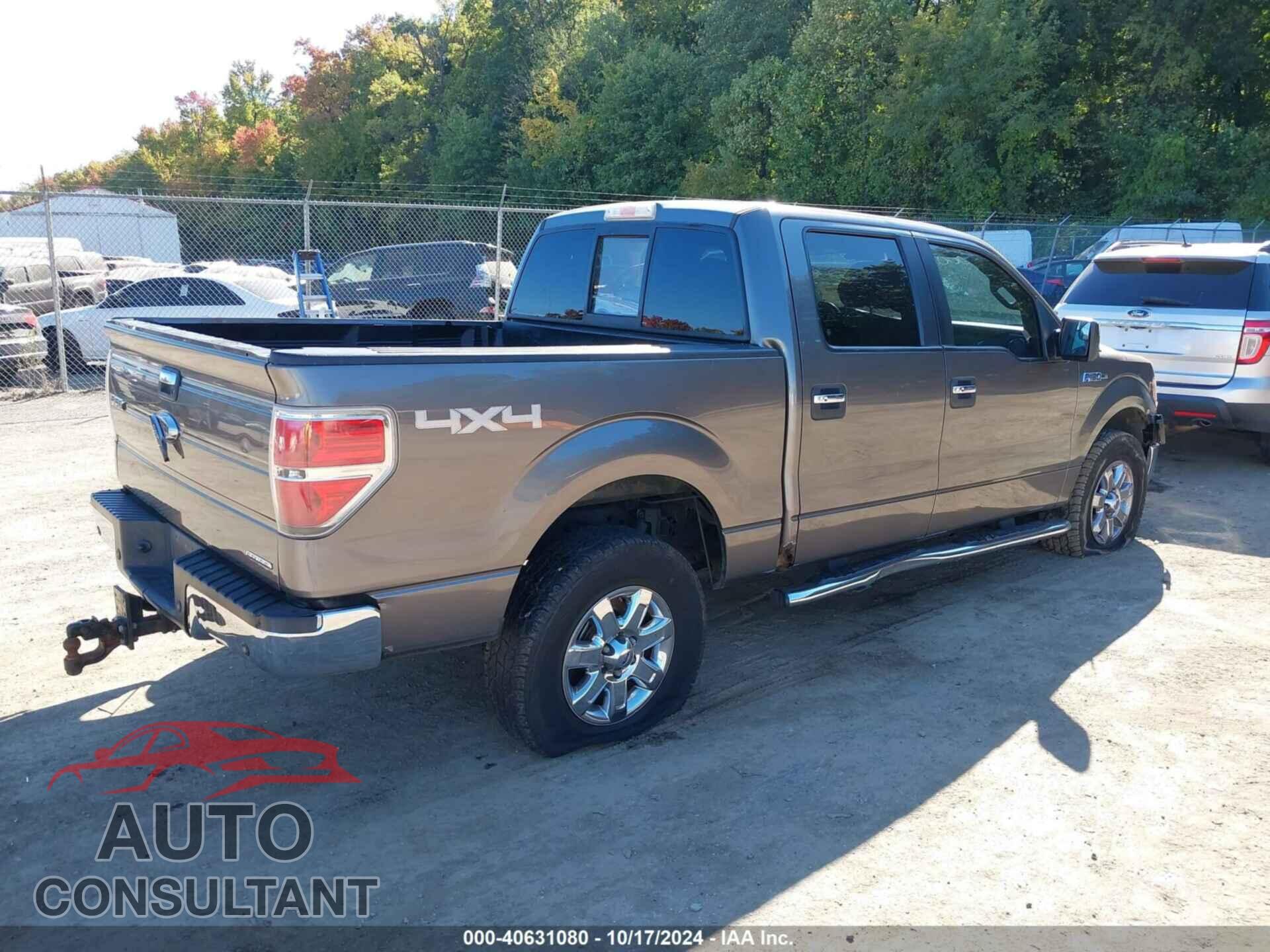 FORD F-150 2013 - 1FTFW1EF3DFD66050