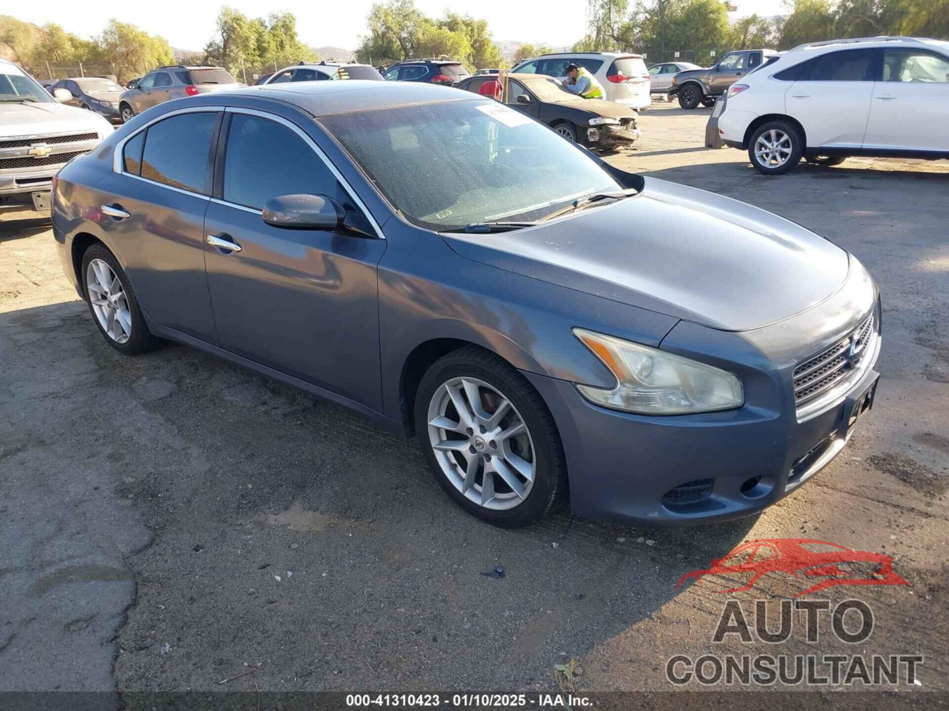 NISSAN MAXIMA 2011 - 1N4AA5AP6BC812050