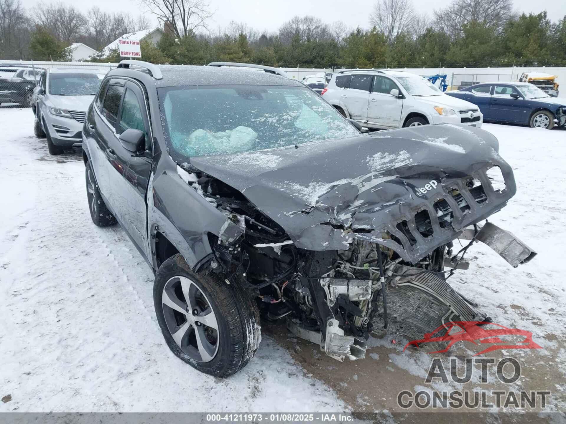JEEP CHEROKEE 2019 - 1C4PJMDN3KD179994