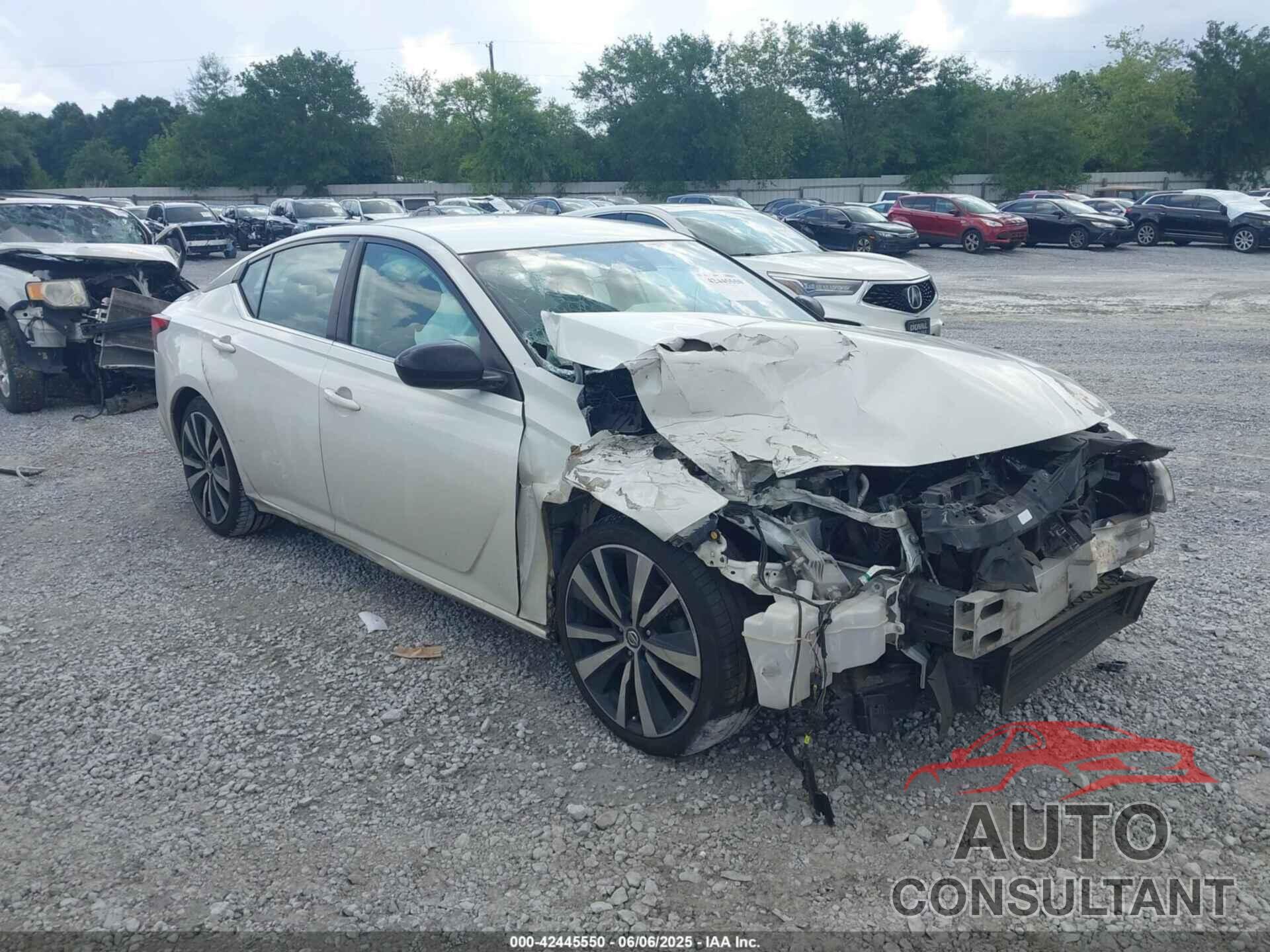 NISSAN ALTIMA 2020 - 1N4BL4CV9LN313995