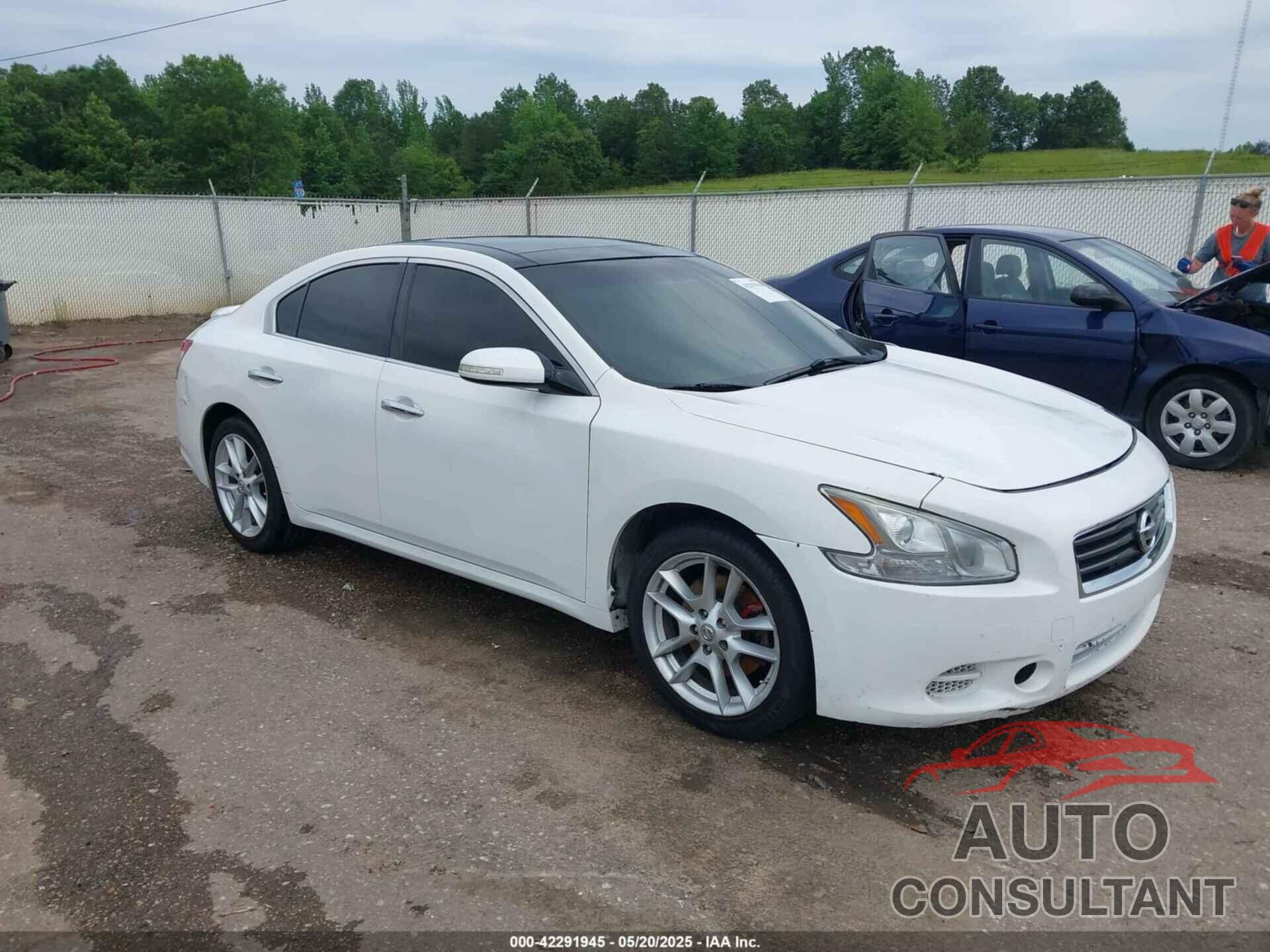 NISSAN MAXIMA 2009 - 1N4AA51EX9C855122