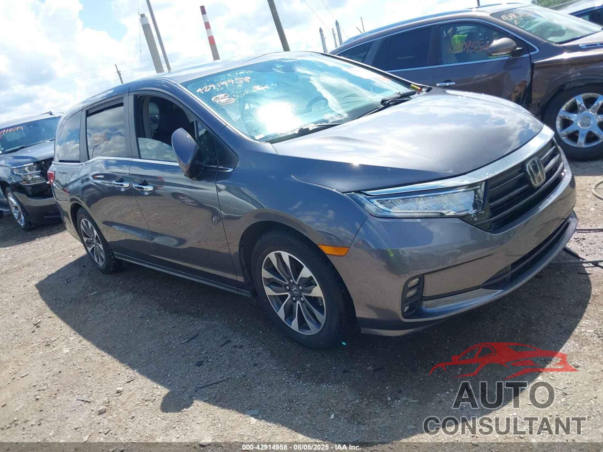 HONDA ODYSSEY 2022 - 5FNRL6H79NB024406