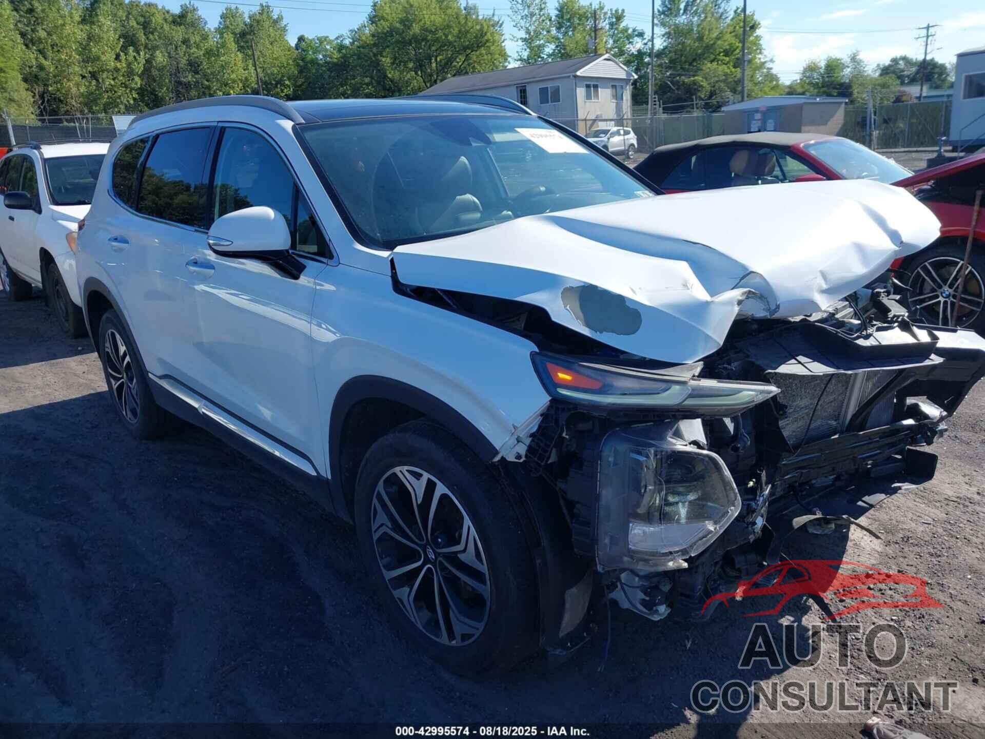 HYUNDAI SANTA FE 2019 - 5NMS5CAA1KH012731