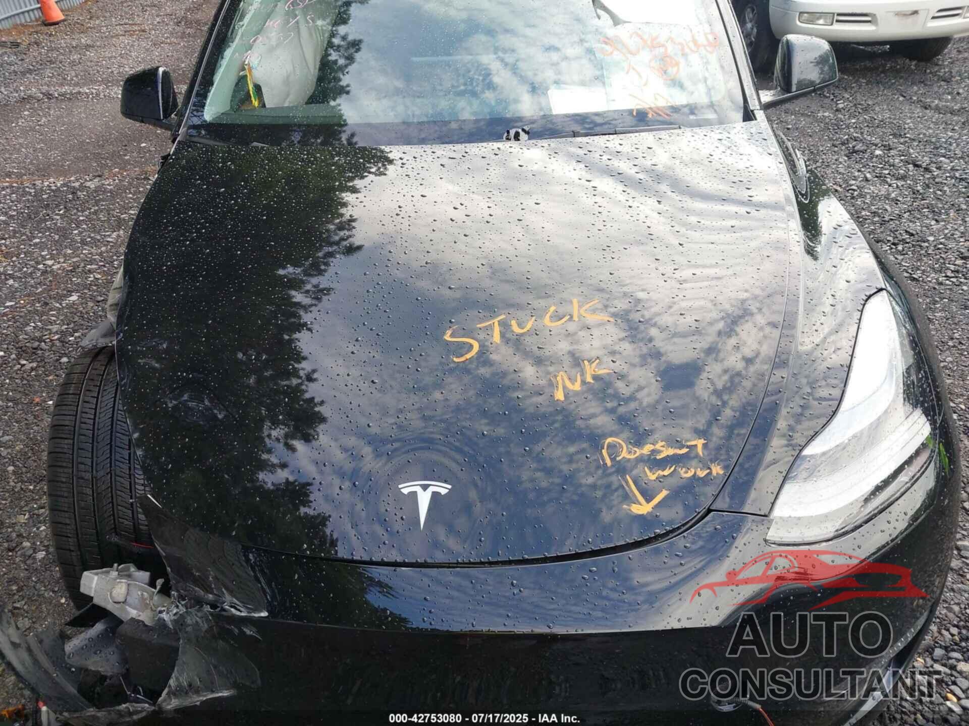 TESLA MODEL Y 2024 - 7SAYGDEE2RA220507