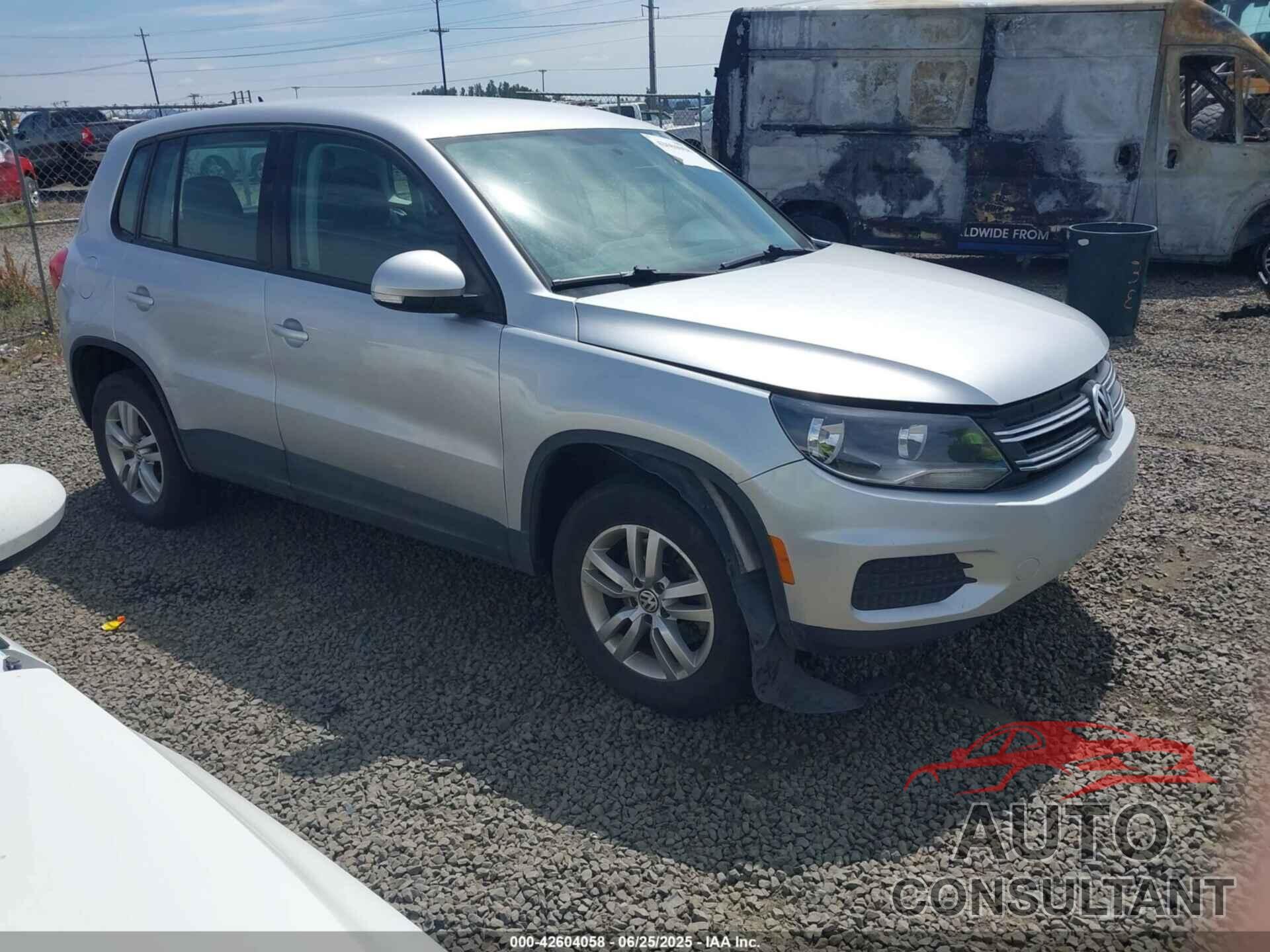 VOLKSWAGEN TIGUAN 2013 - WVGBV3AX2DW601982