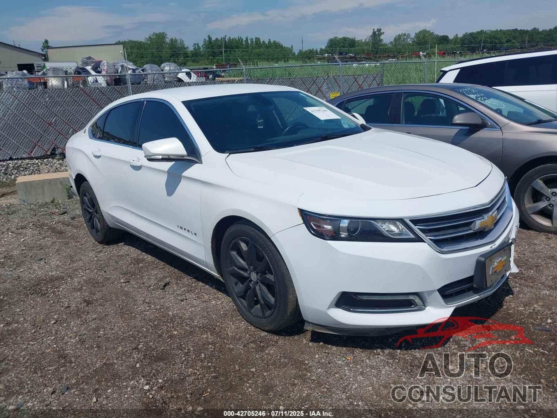 CHEVROLET IMPALA 2019 - 2G11Z5S35K9128914