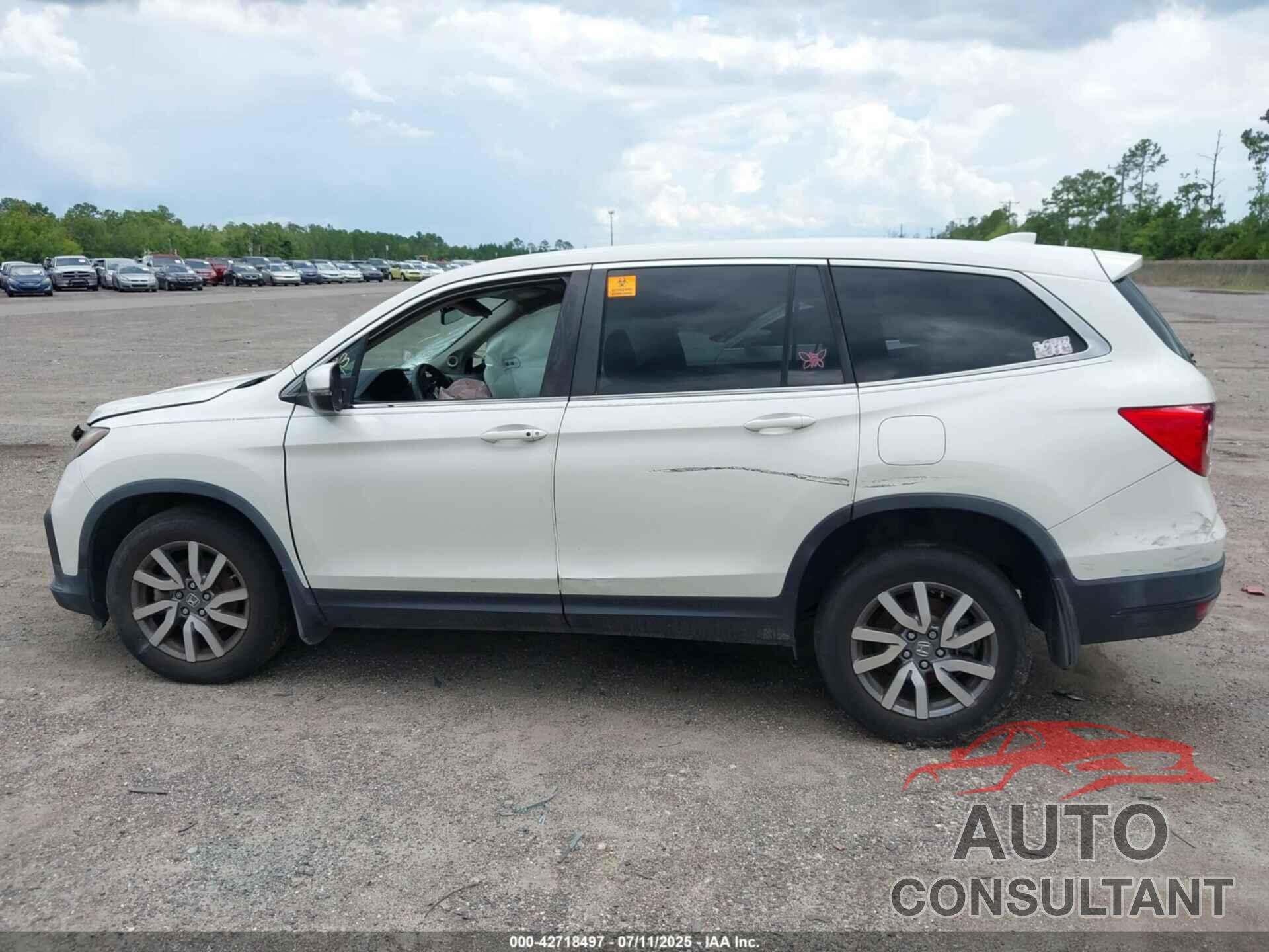 HONDA PILOT 2019 - 5FNYF6H49KB067552