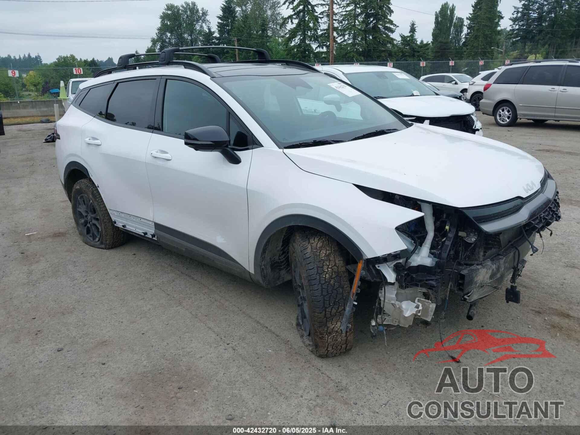 KIA SPORTAGE 2024 - 5XYK7CDF7RG165815