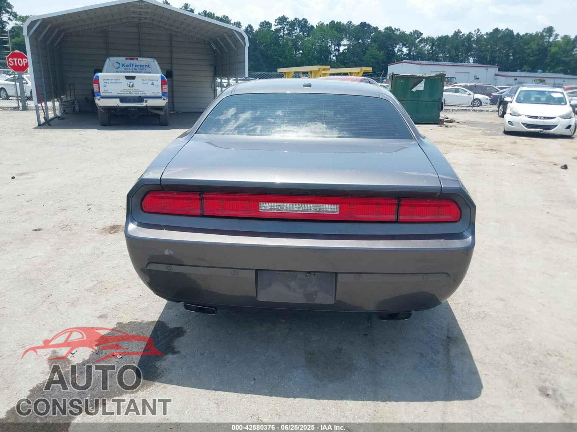 DODGE CHALLENGER 2013 - 2C3CDYAG2DH573967